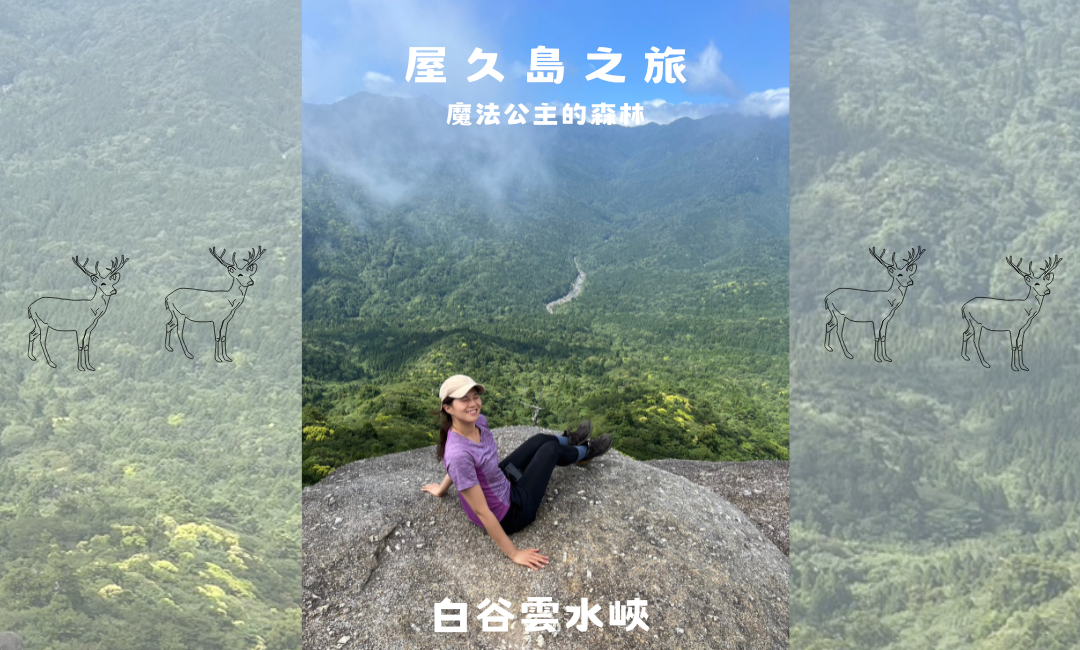 【屋久島的魅力連載】白谷雲水峽