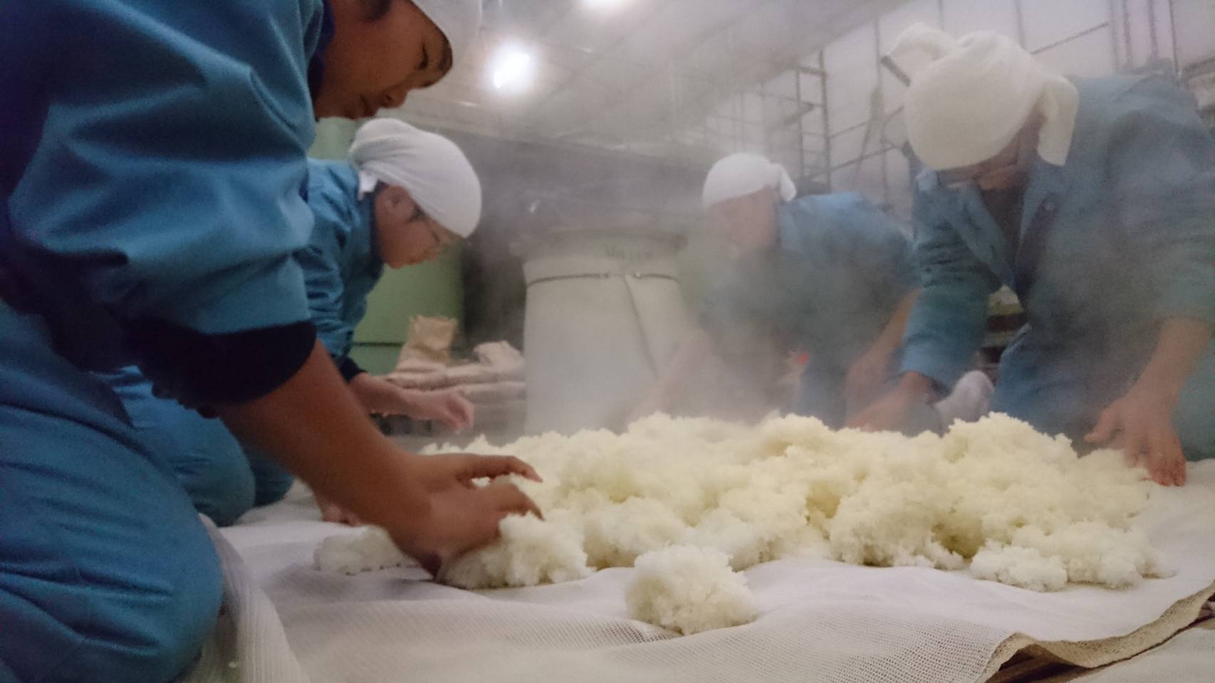 日本酒蔵|蔵人製造現場體驗(冬季限定)|蒸米、麹室與洗米