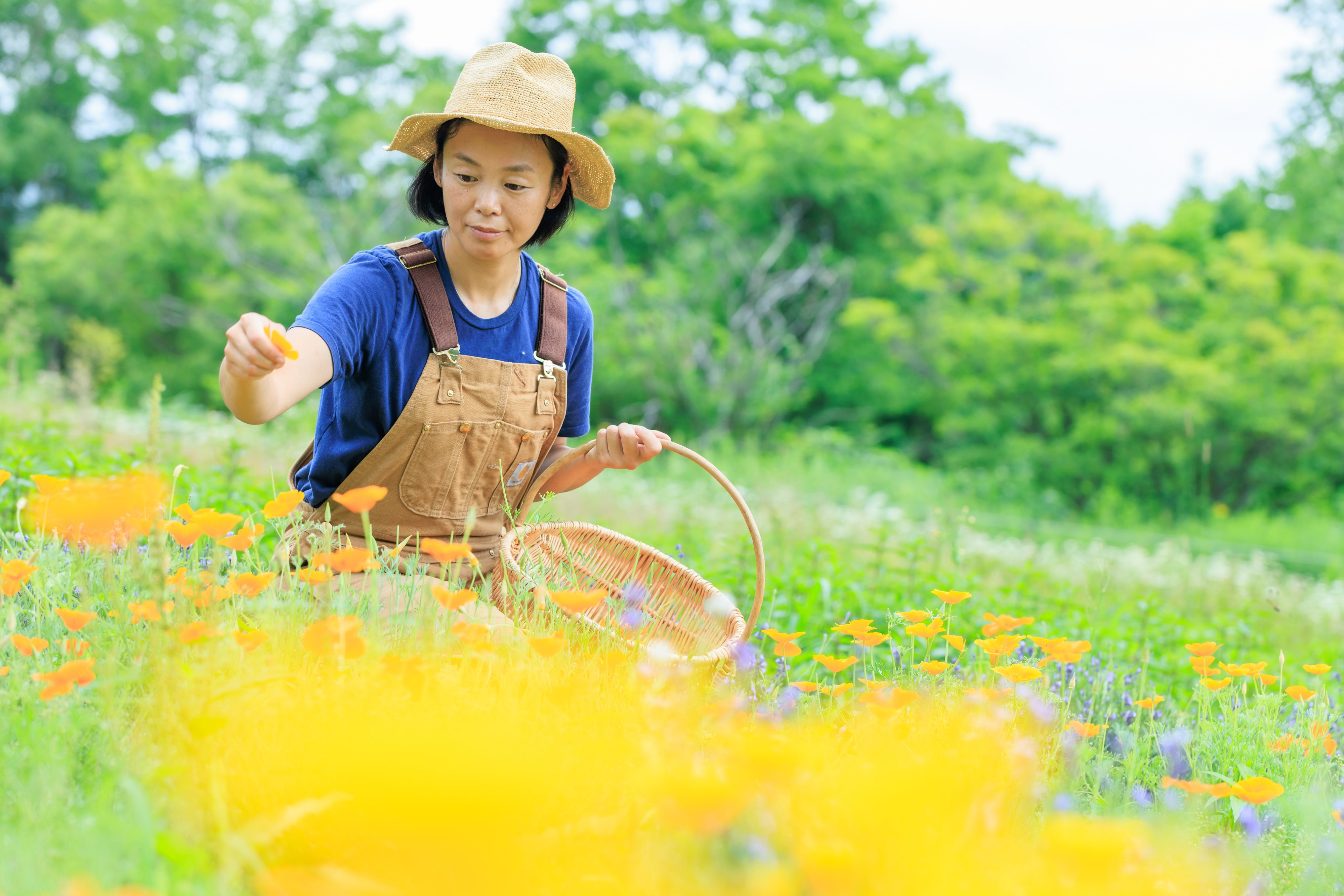 【北海道靜歲】大地的香氛時光:純淨香草的生活提案 單堂文化體驗|旭川市|有機香草農園體驗|