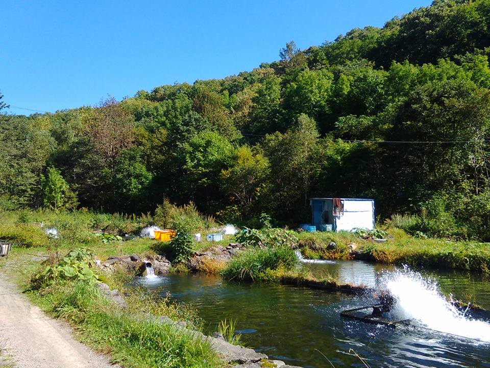 【北海道望野】北海道的山麓漁歌:雪國的養殖歲月 單堂文化體驗|比布町|一日漁場生活體驗|