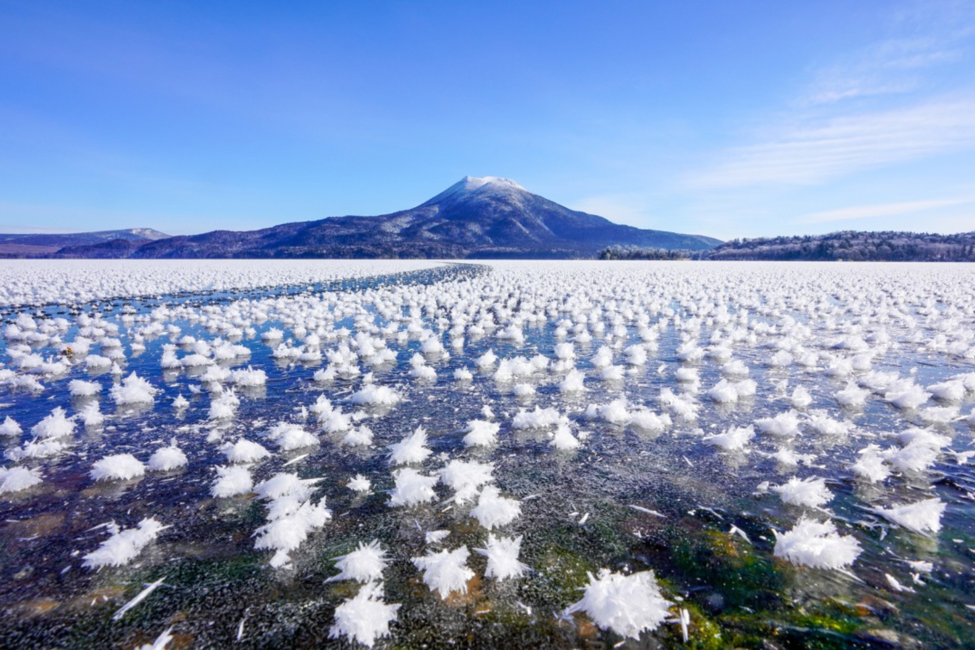 2026 北海道道東冬季奇幻之旅 | 絕美雪景與美食盛宴 | 5天4夜