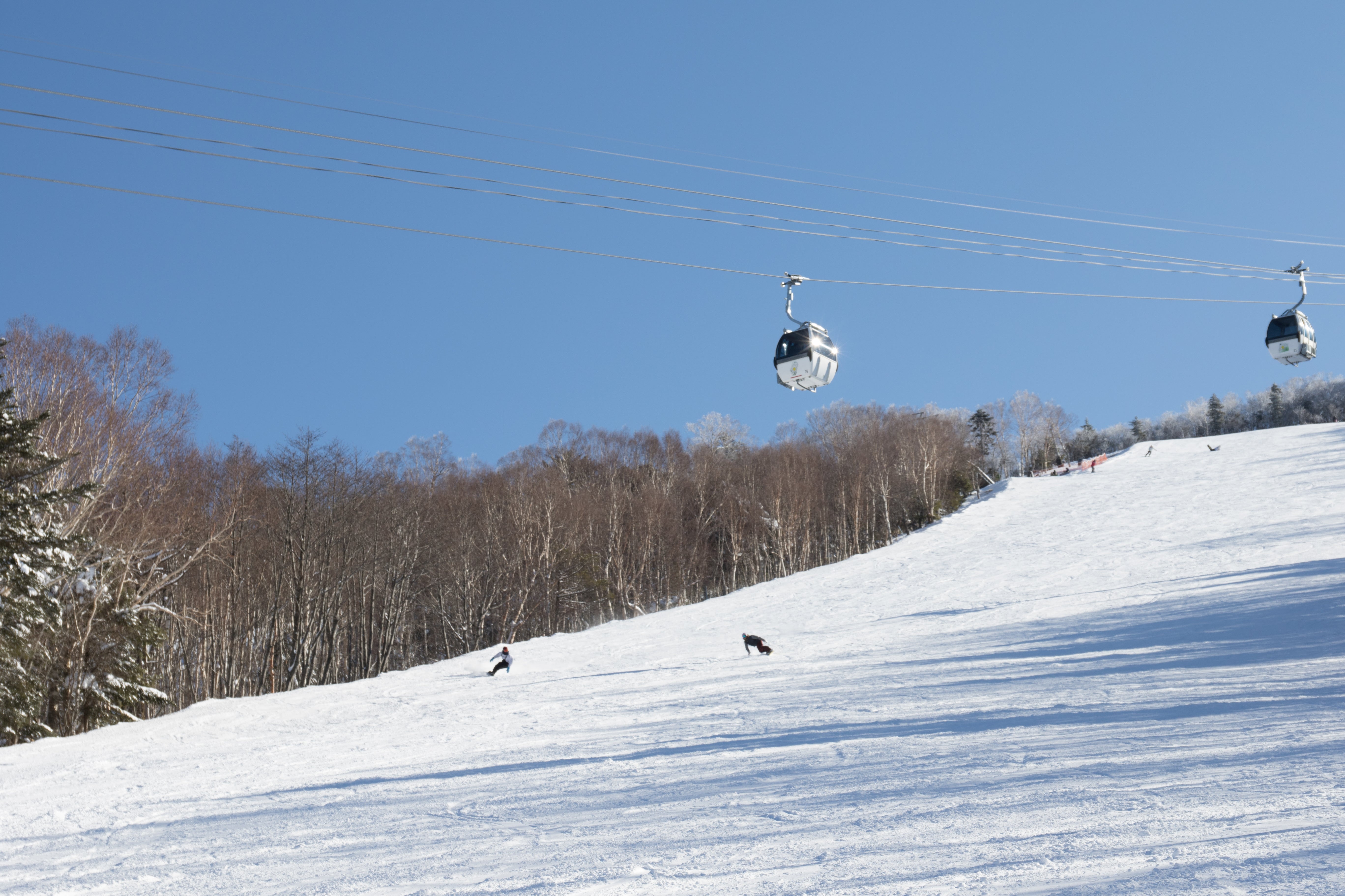 東京出發|那須溫泉滑雪一日遊|專車接送 × 初學者友善雪場體驗
