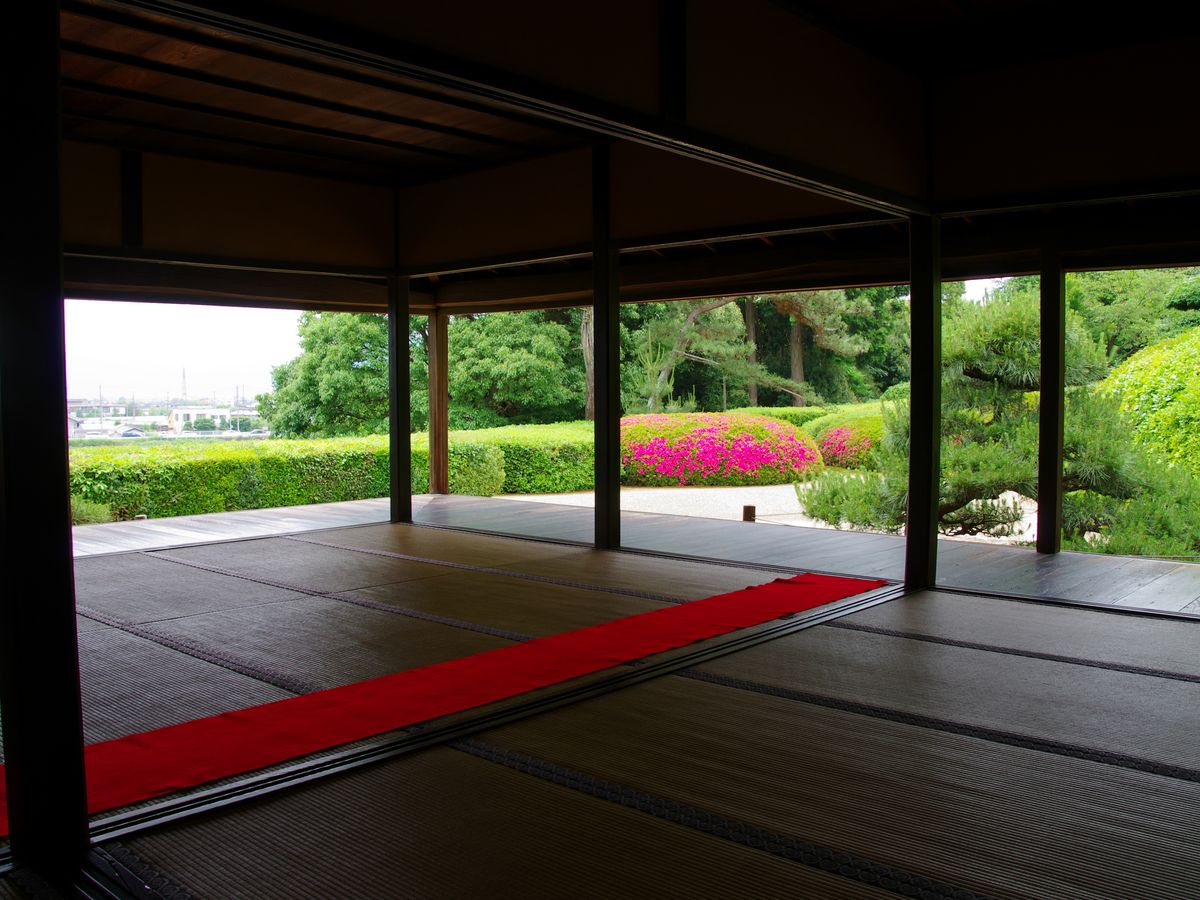奈良車站出發・世界遺產巴士一日遊|法隆寺・中宮寺・慈光院・藥師寺・唐招提寺