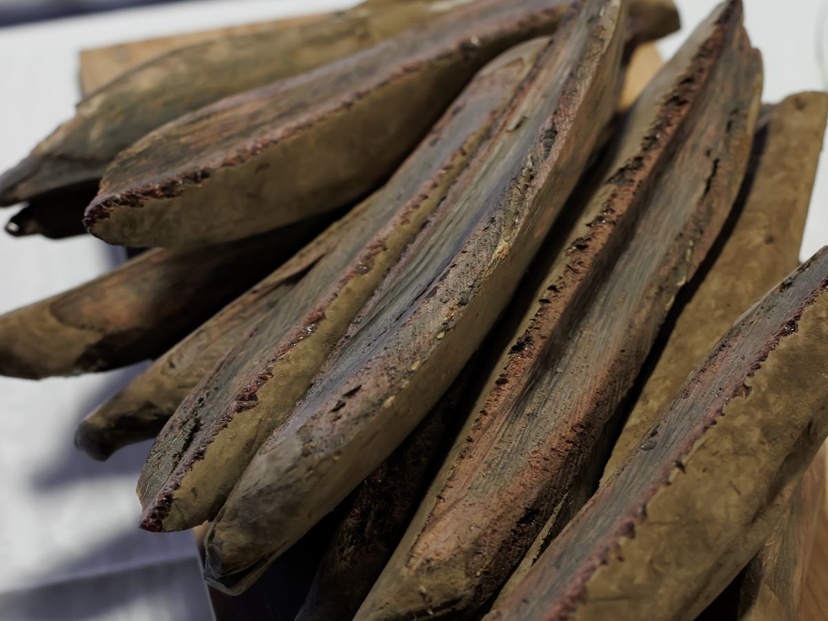 京都|百年老舖料亭「京料理 さくらい」親授高湯體驗課(約 1.5~2 小時)