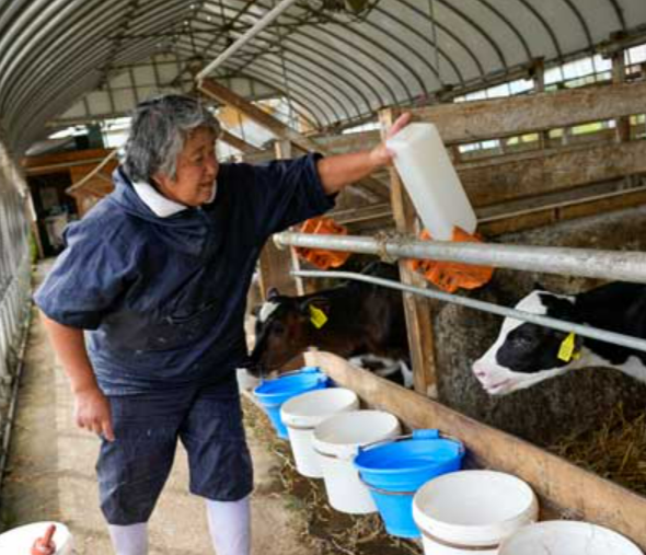 已截止【2023冬季.北海道人文旅行】