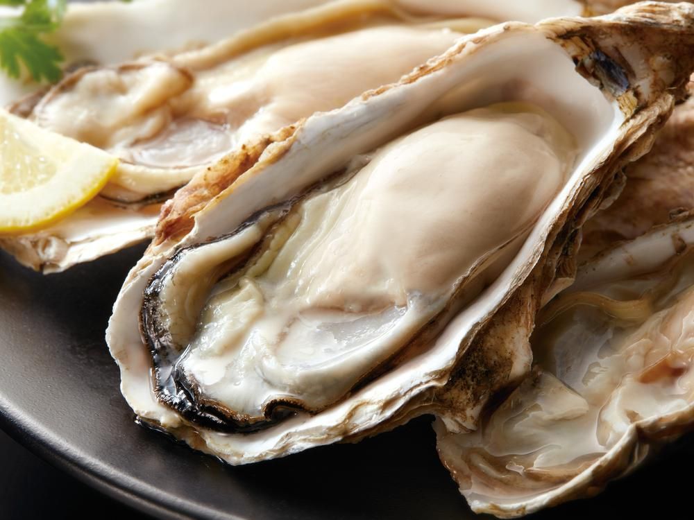 名古屋發一日巴士|伊勢神宮・內宮參拜+浦村牡蠣烤&蒸吃到飽 100 分鐘+赤福伴手禮