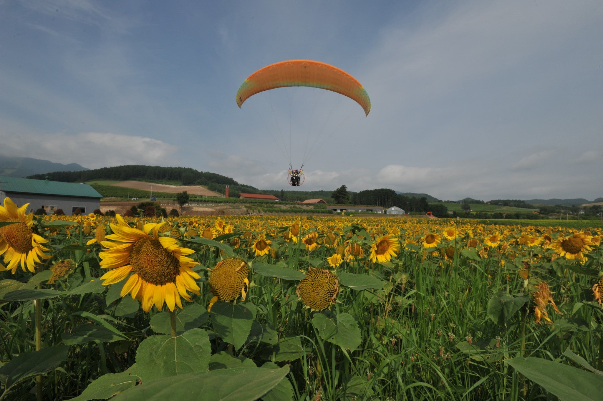 富良野|動力滑翔傘體驗|俯瞰富良野四季