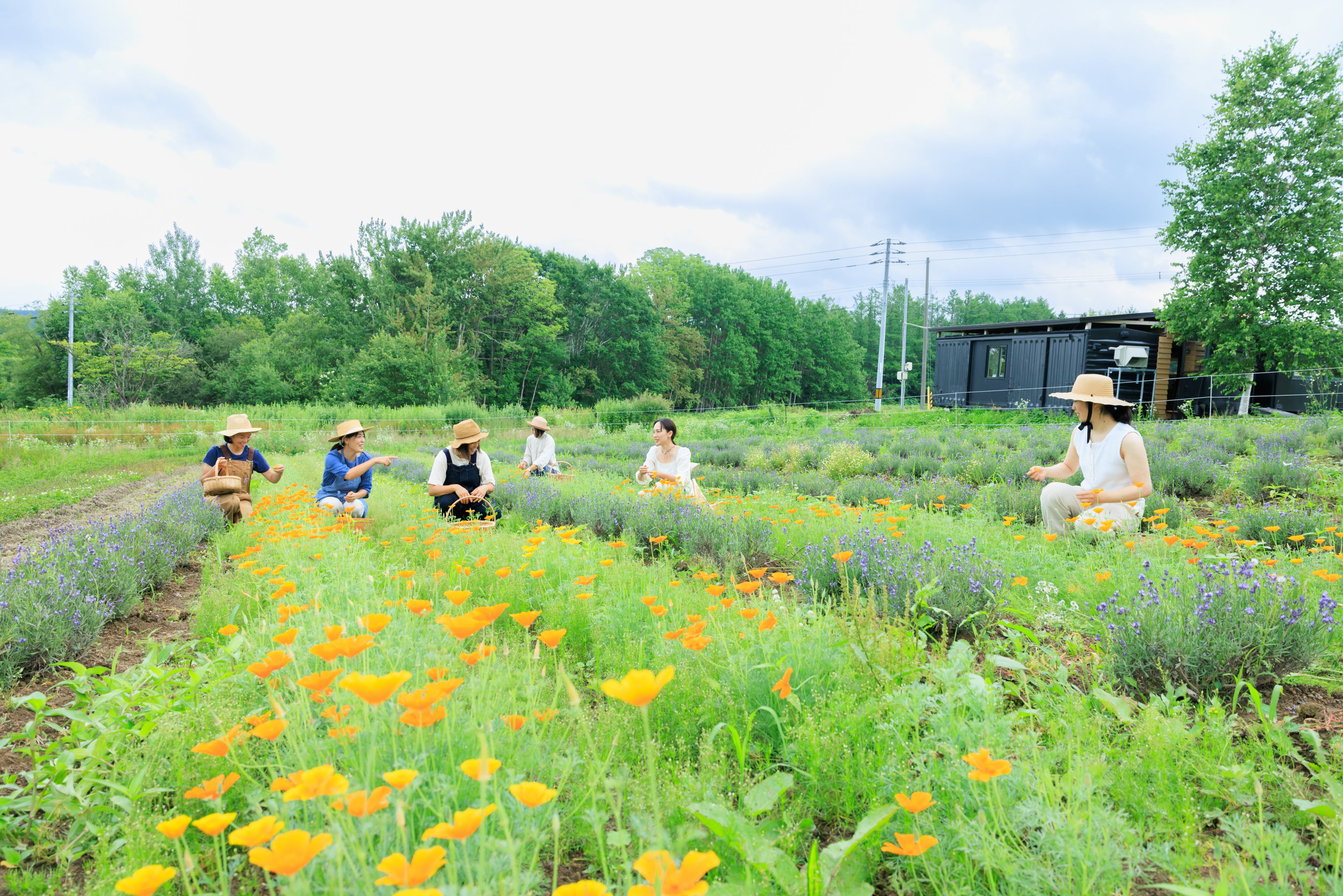 【北海道靜歲】大地的香氛時光:純淨香草的生活提案 單堂文化體驗|旭川市|有機香草農園體驗|
