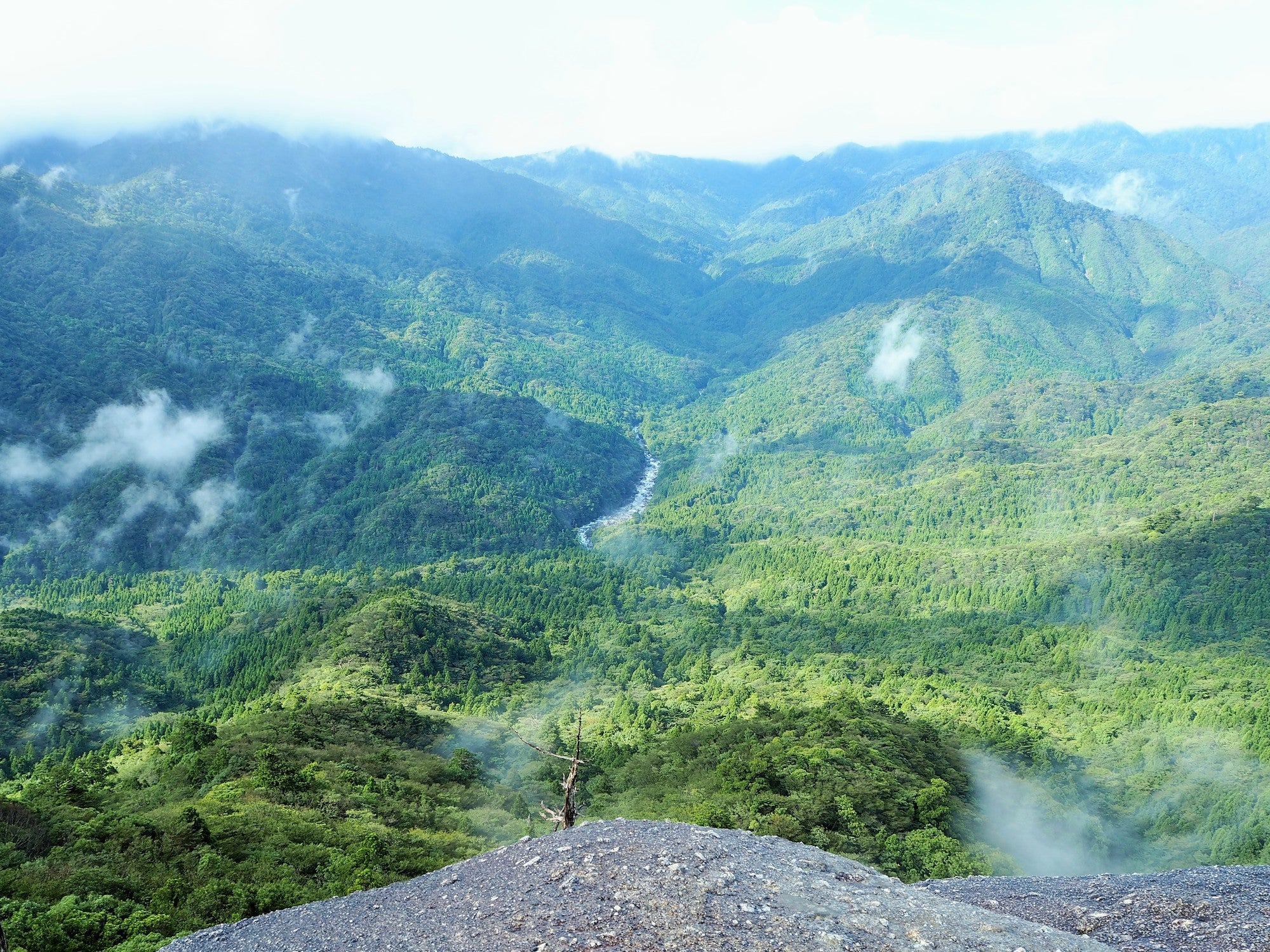【鹿兒島微醺】苔原林地與遠方的潮聲:橫越山海的靈魂秘境 |三天兩夜山海之旅|鹿兒島縣屋久島|島嶼的小酌時光