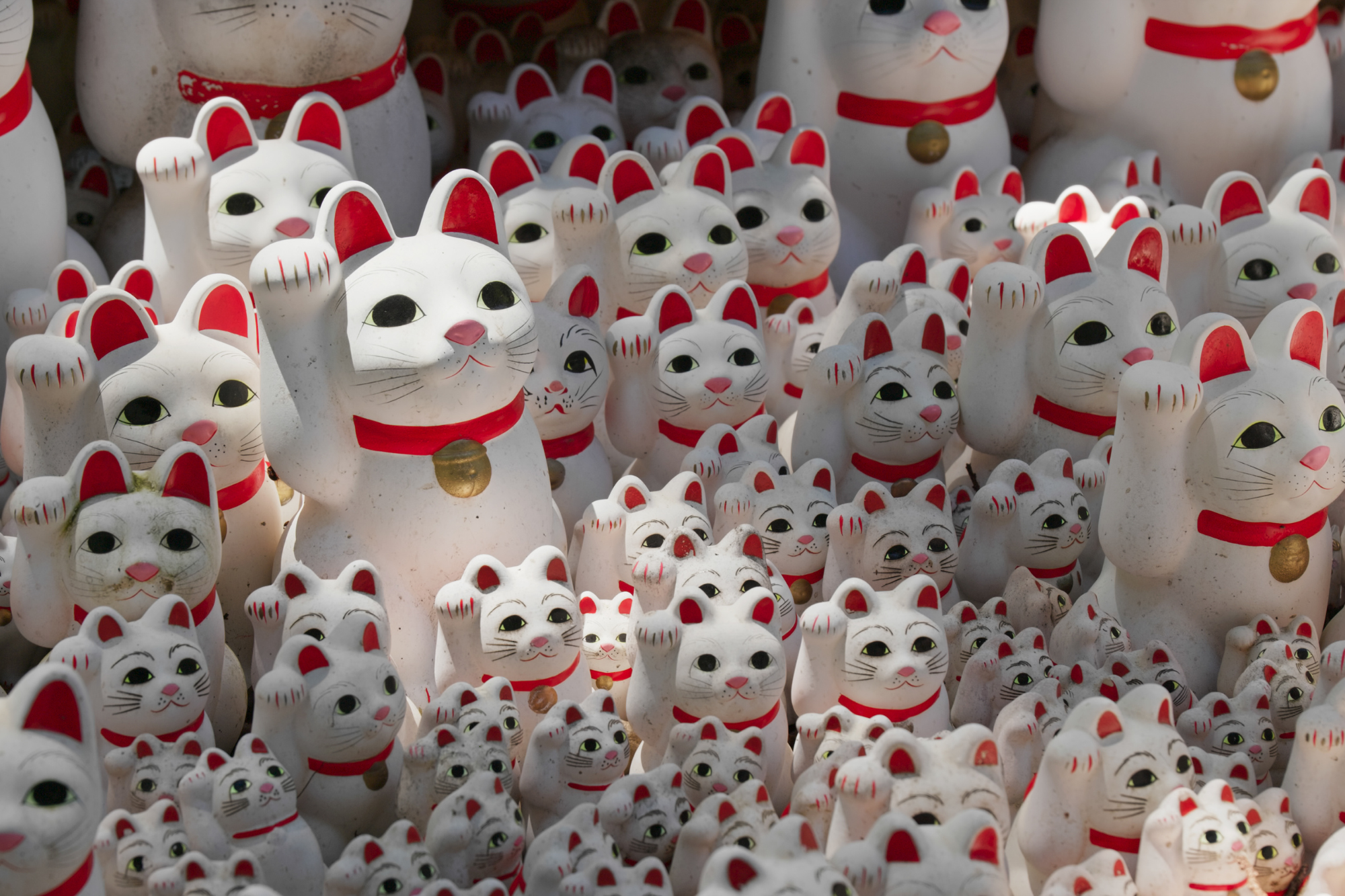 東京貓迷夢幻一日遊|豪德寺招財貓 × 新宿3D貓 × 人氣貓咖啡廳巡禮