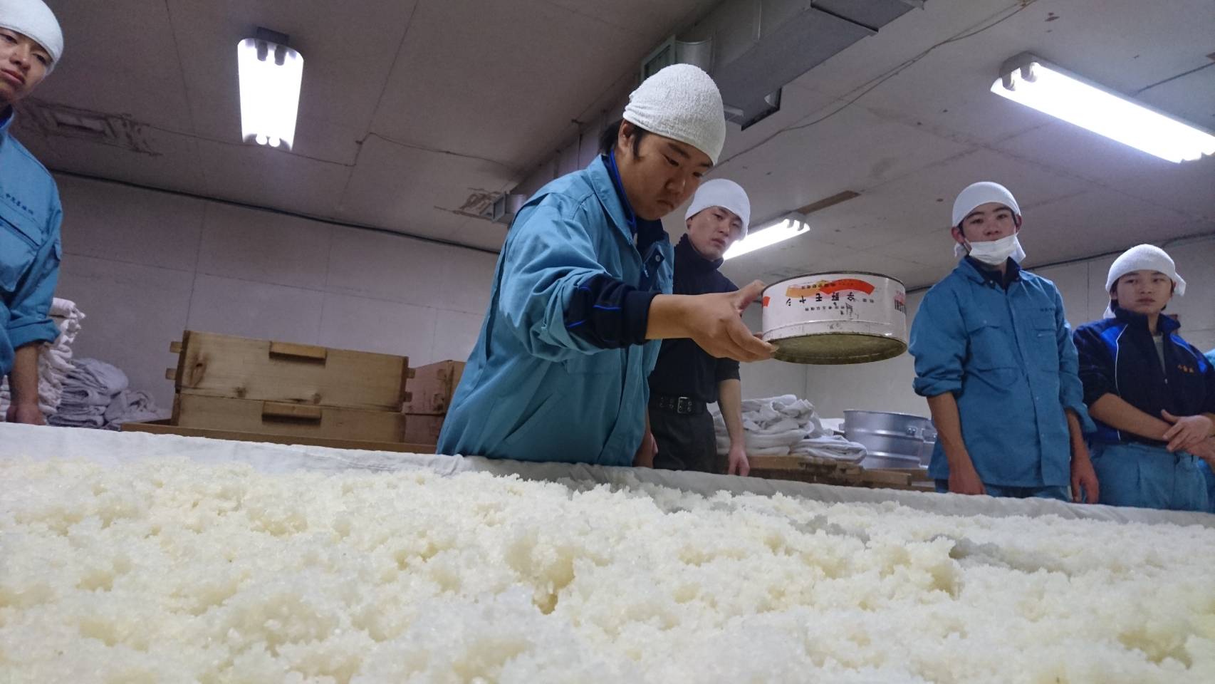 日本酒蔵|蔵人製造現場體驗(冬季限定)|蒸米、麹室與洗米