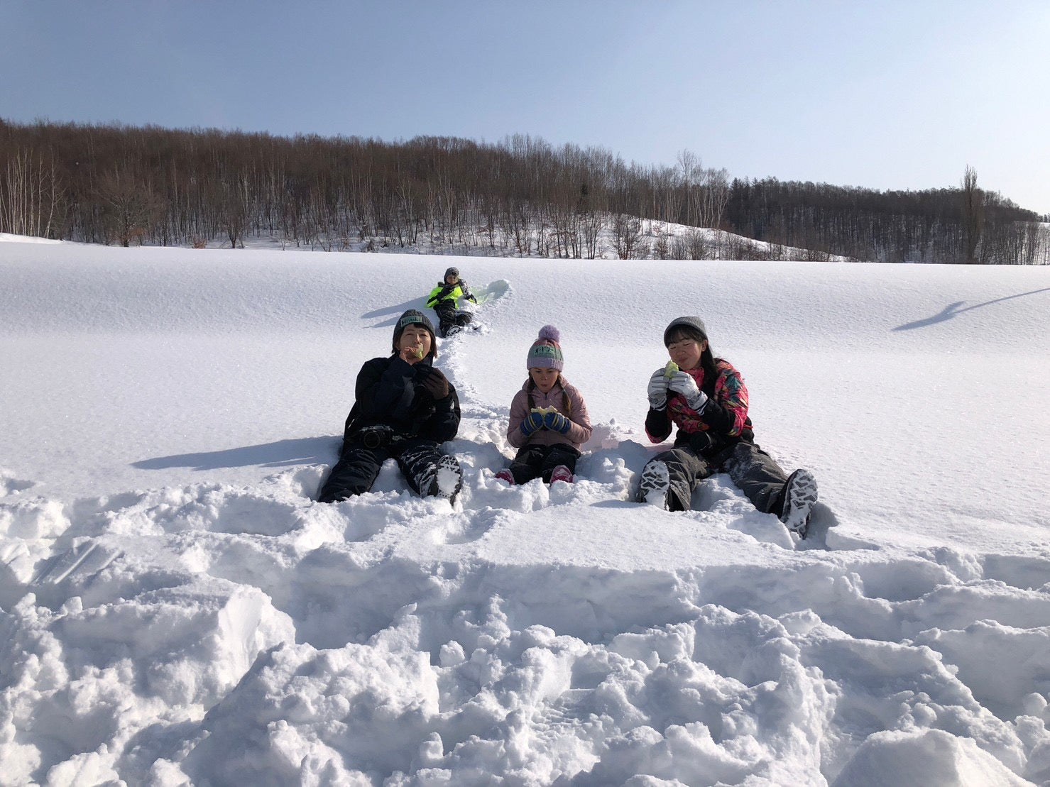 北海道|富良野冬季限定雪下越冬高麗菜收穫體驗