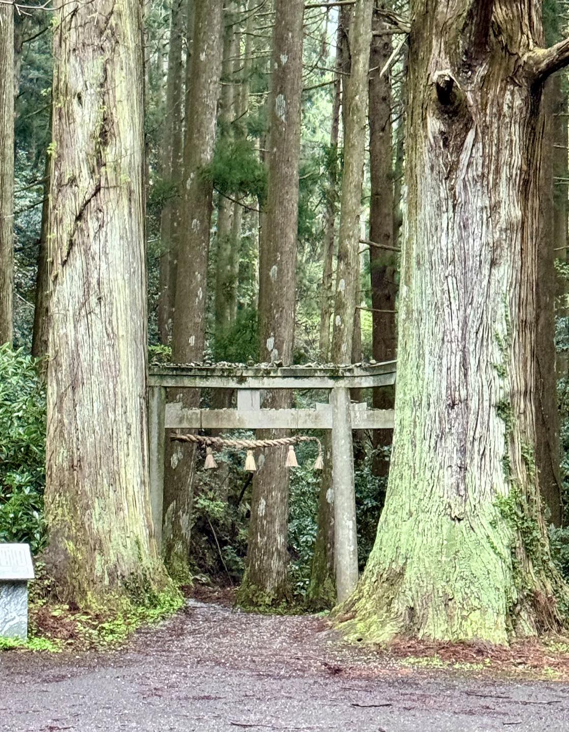 隠岐諸島3天2夜|世界級離島祕境之旅
