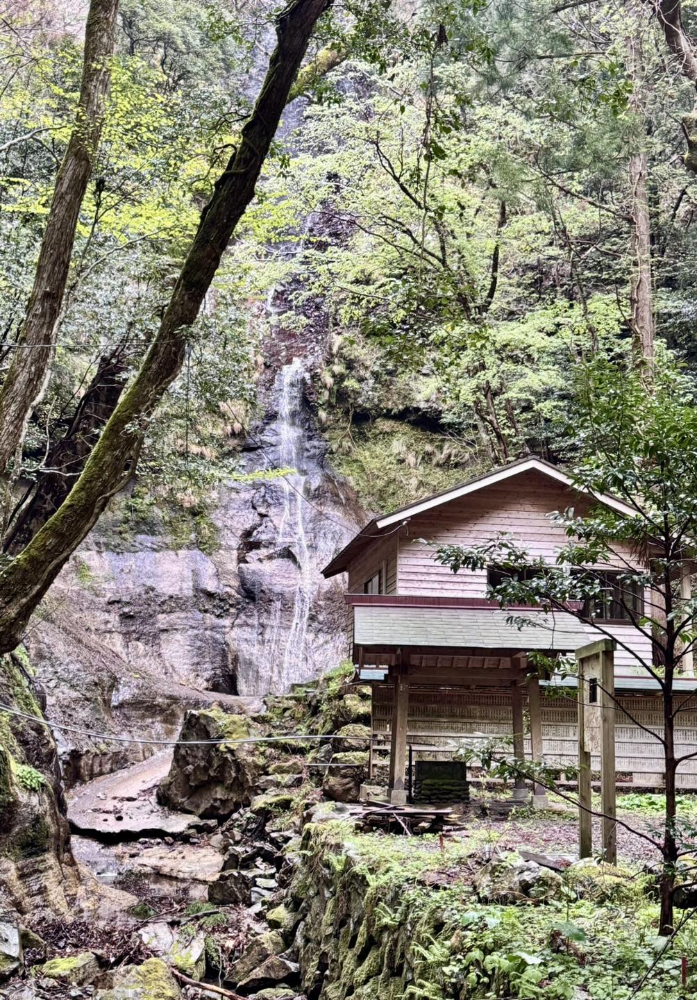 隠岐諸島3天2夜|世界級離島祕境之旅