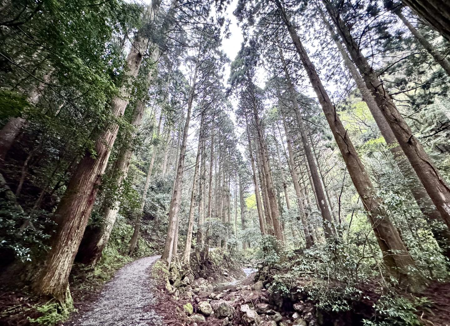 隠岐諸島3天2夜|世界級離島祕境之旅