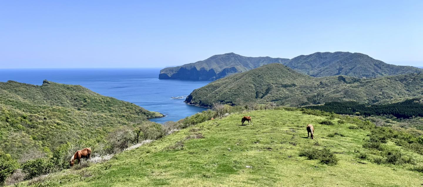 隠岐諸島3天2夜|世界級離島祕境之旅