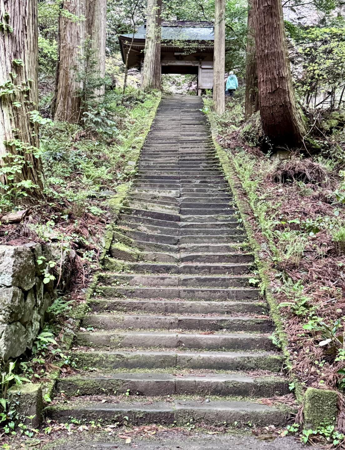 隠岐諸島3天2夜|世界級離島祕境之旅
