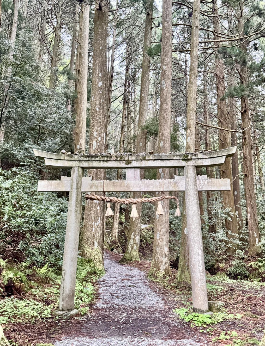 隠岐諸島3天2夜|世界級離島祕境之旅