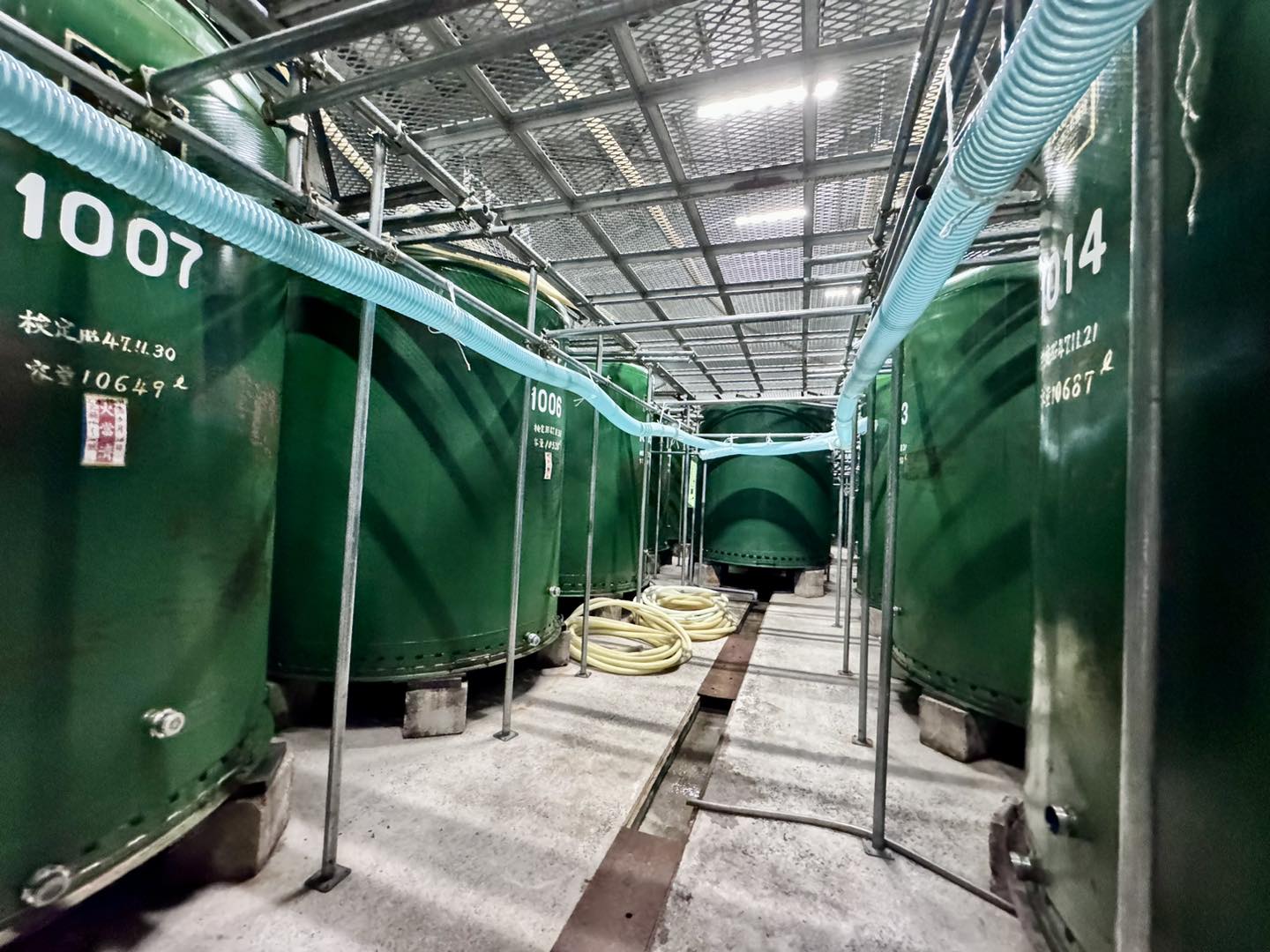 隠岐諸島3天2夜|世界級離島祕境之旅