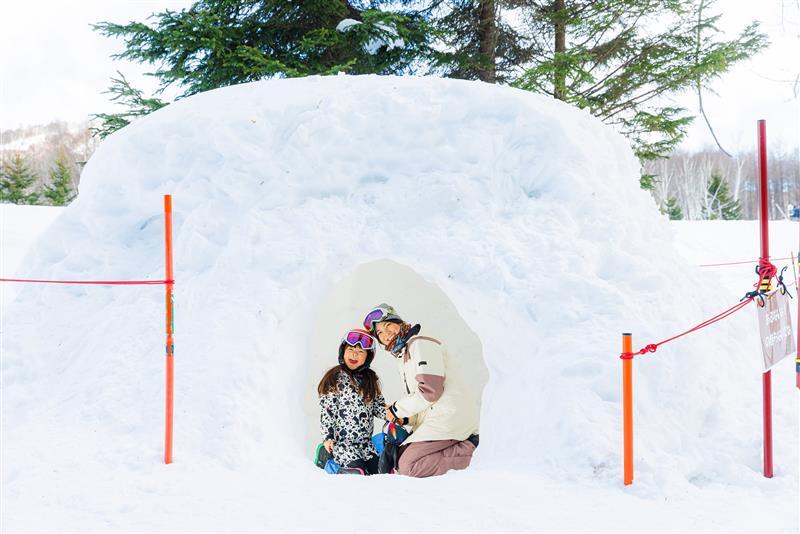 【東京出發包車】2026/2/23出團|那須・日光 3天2夜 雪屋與文化體驗