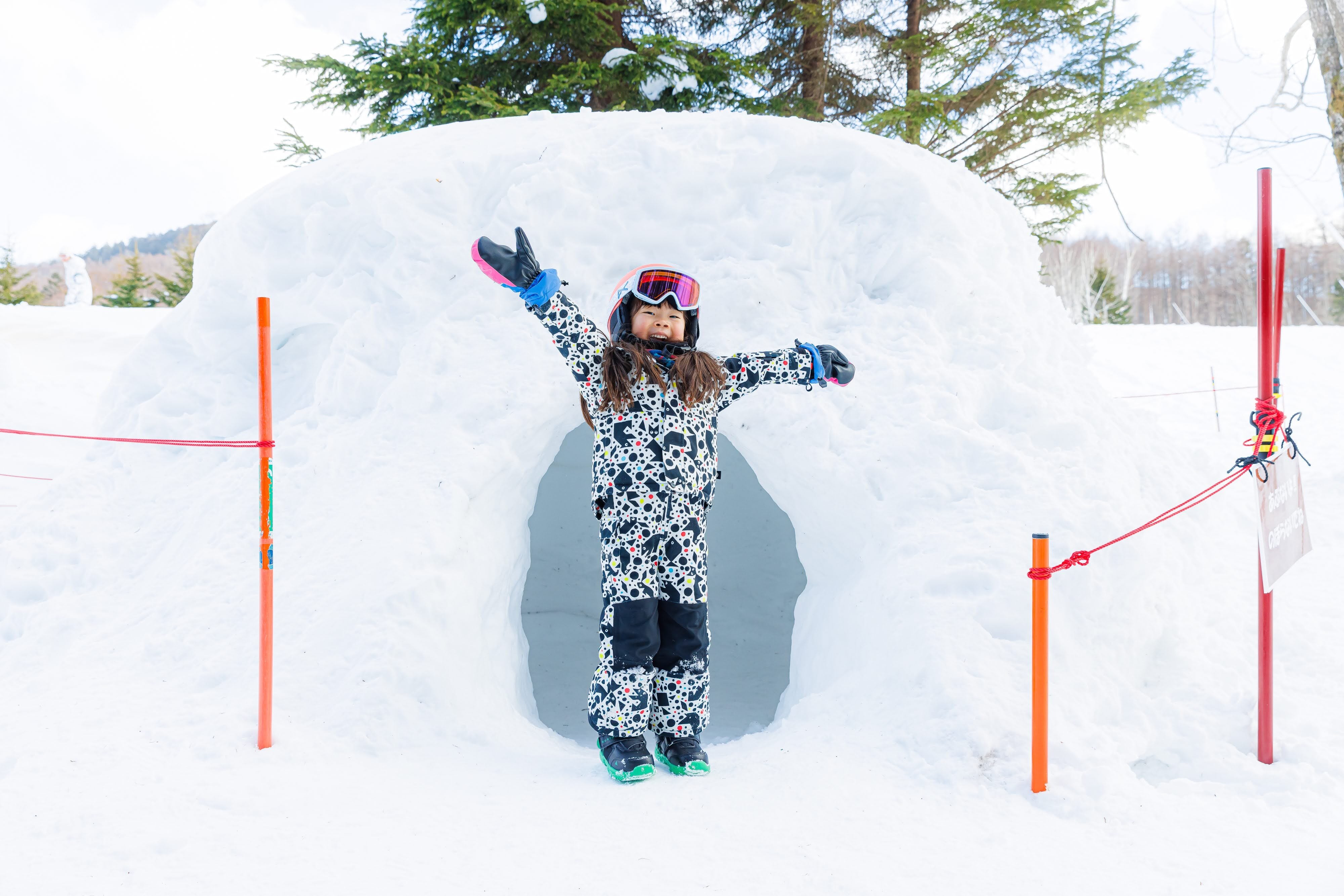 【東京出發包車】2026/2/23出團|那須・日光 3天2夜 雪屋與文化體驗