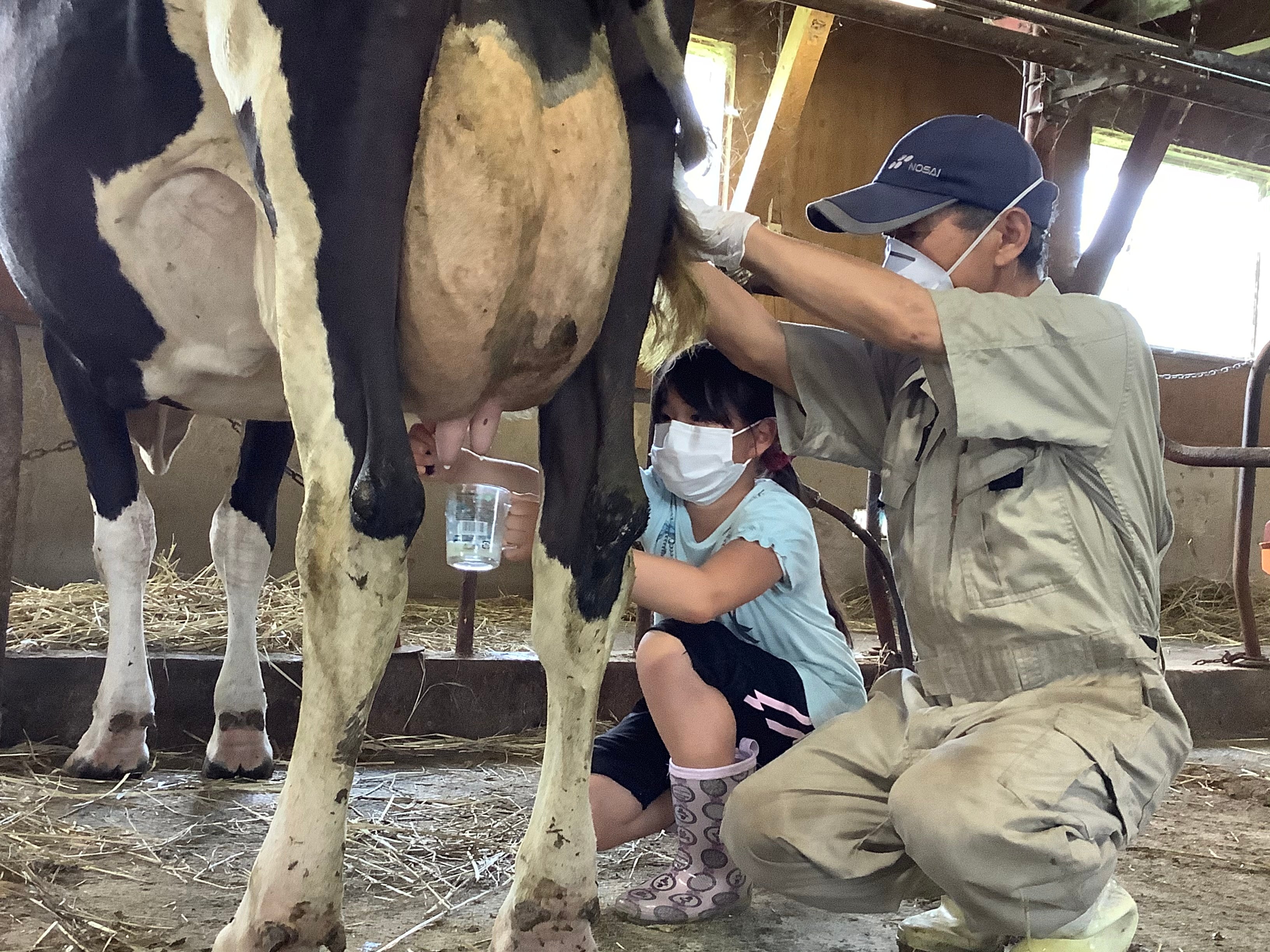 【北海道靜歲】牛乳的溯源-乳牛牧場巡禮 單堂文化體驗|旭川市|青草與乳香的牧場巡禮|