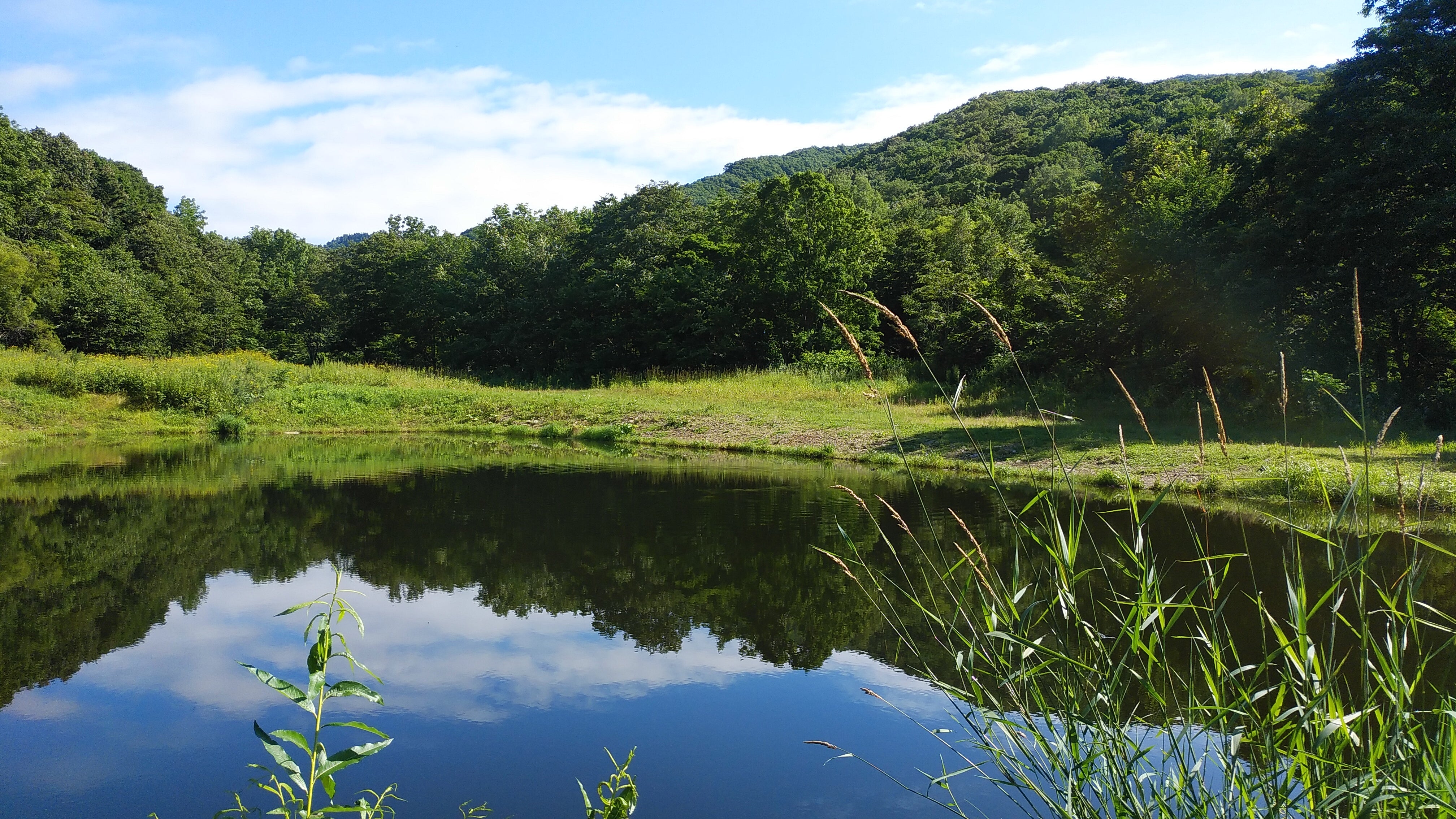 【北海道望野】北海道的山麓漁歌:雪國的養殖歲月 單堂文化體驗|比布町|一日漁場生活體驗|