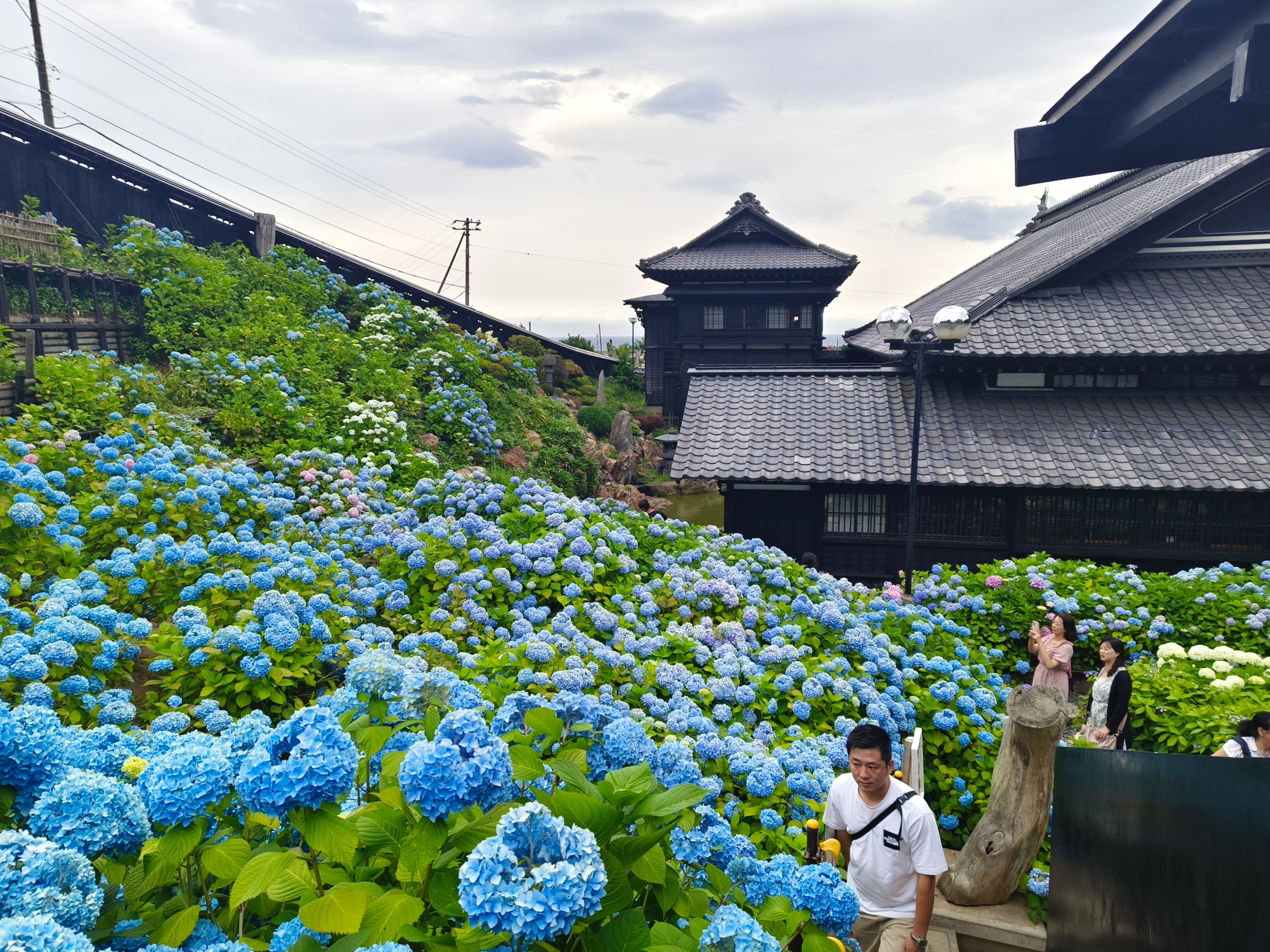 北海道|湛藍大海×米其林品酒團