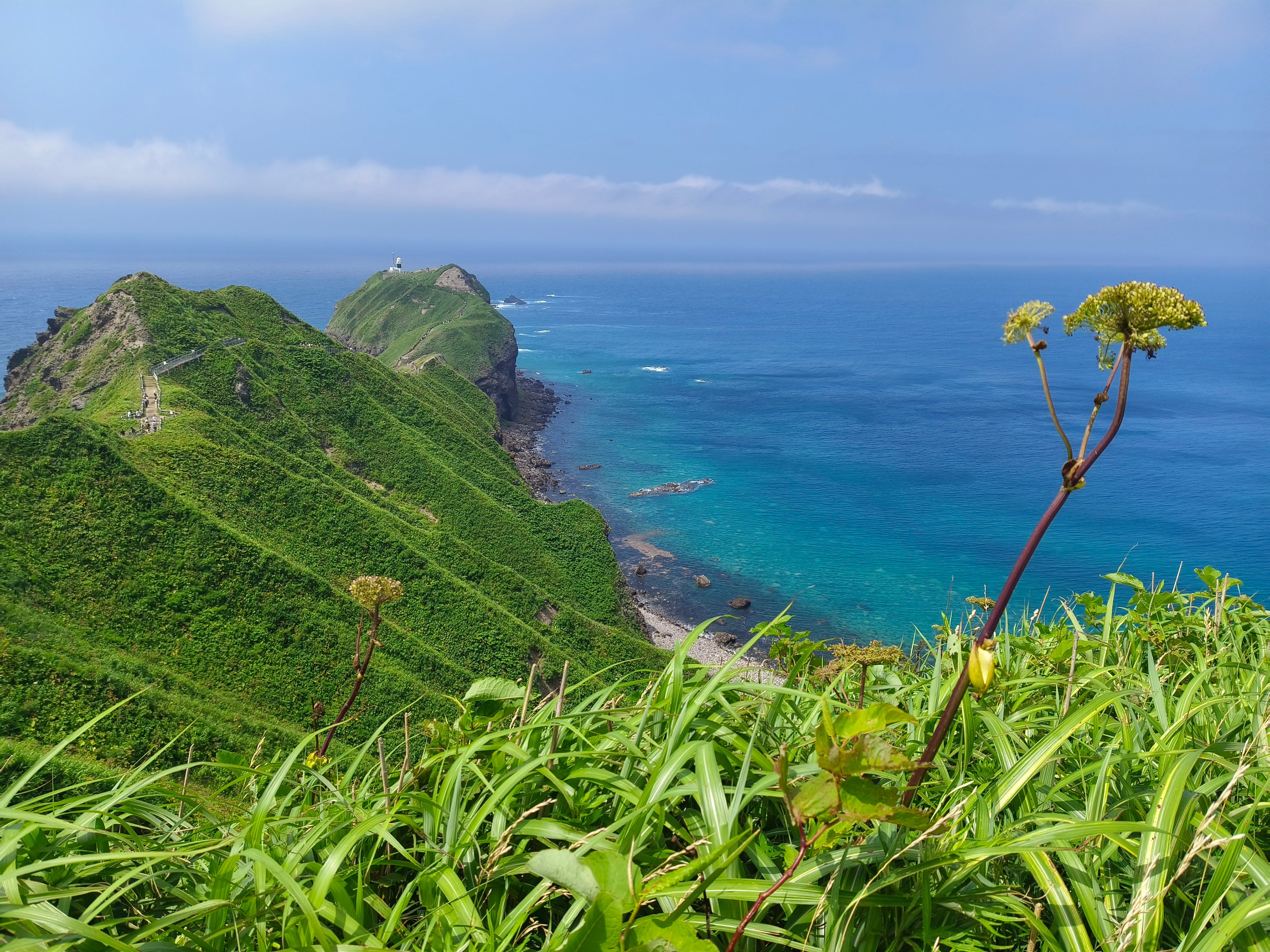 北海道|湛藍大海×米其林品酒團