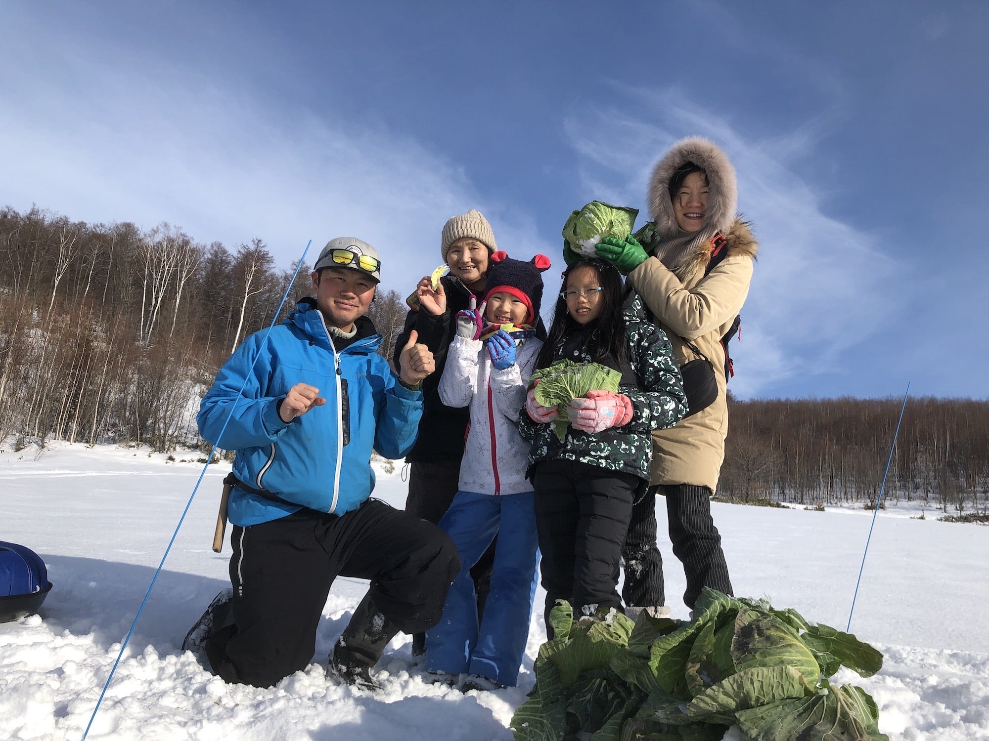 北海道|富良野冬季限定雪下越冬高麗菜收穫體驗
