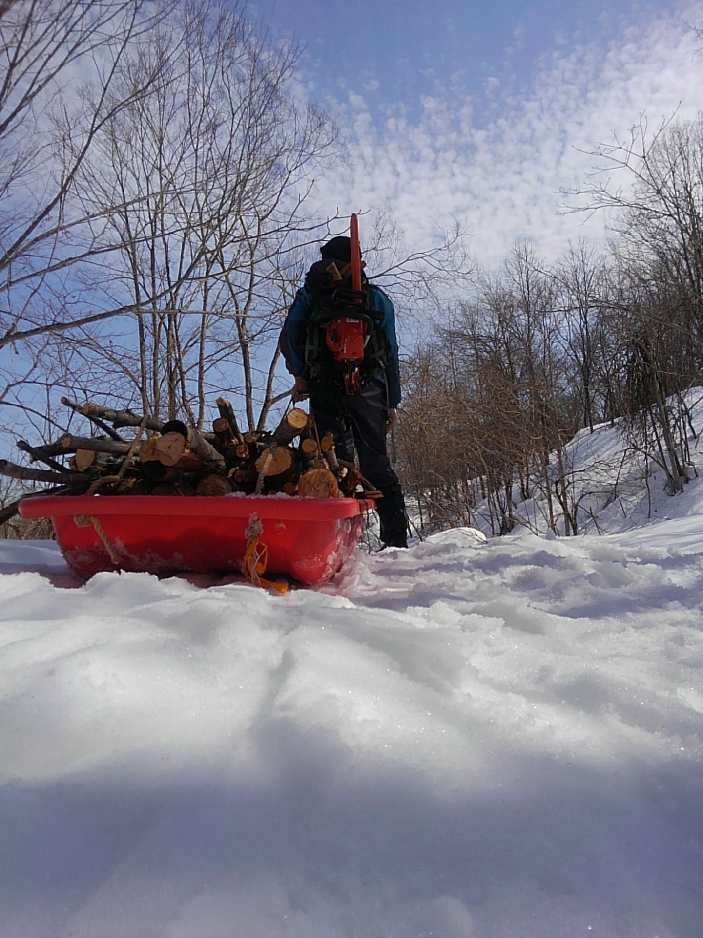 【北海道問森】我家的森林:冬季山林雪鞋散策 單堂戶外活動|旭川市|冬季限定戶外活動|