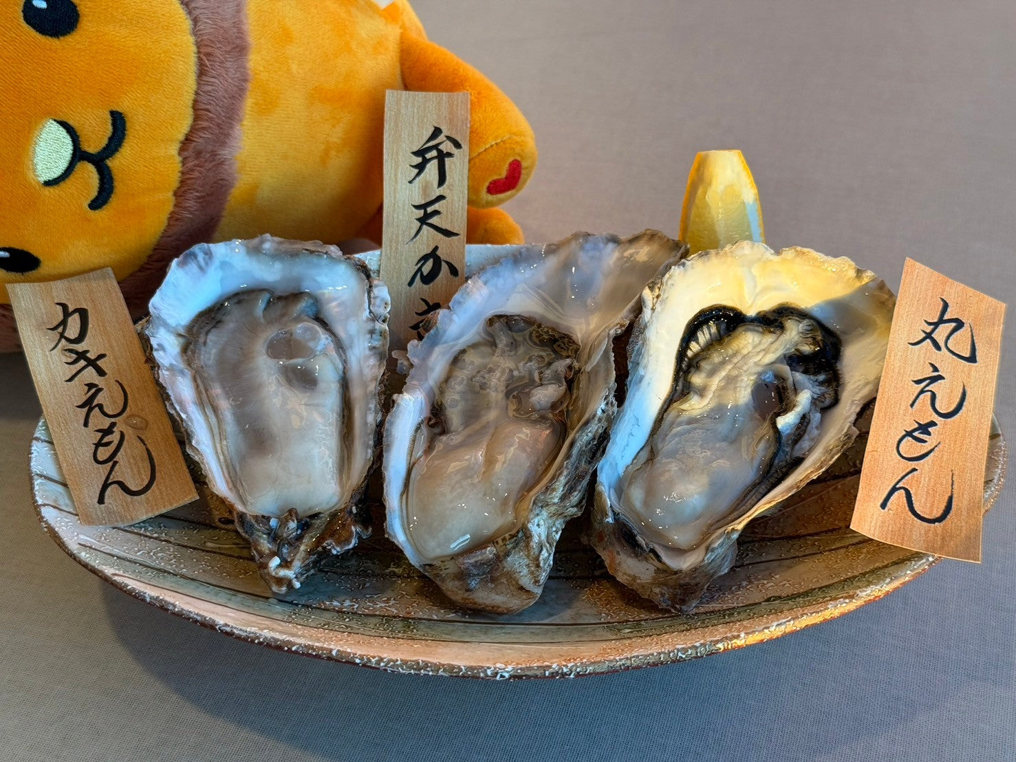 2026 北海道道東冬季奇幻之旅 | 絕美雪景與美食盛宴 | 5天4夜