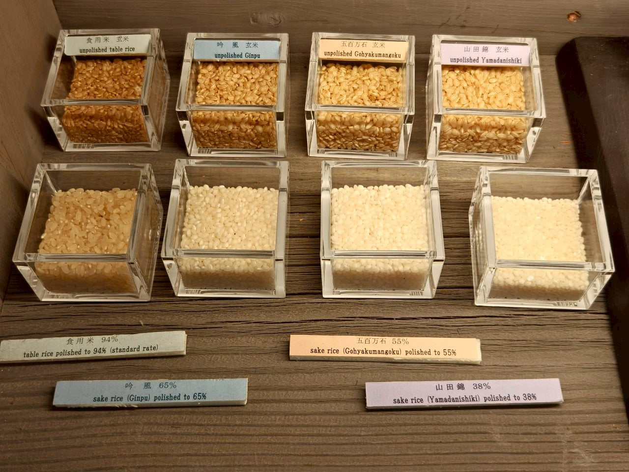 【北海道靜歲】在雪與海風之間:北方的一盞清酒 單堂文化體驗|增毛町|日本最北限清酒酒造參訪試飲|