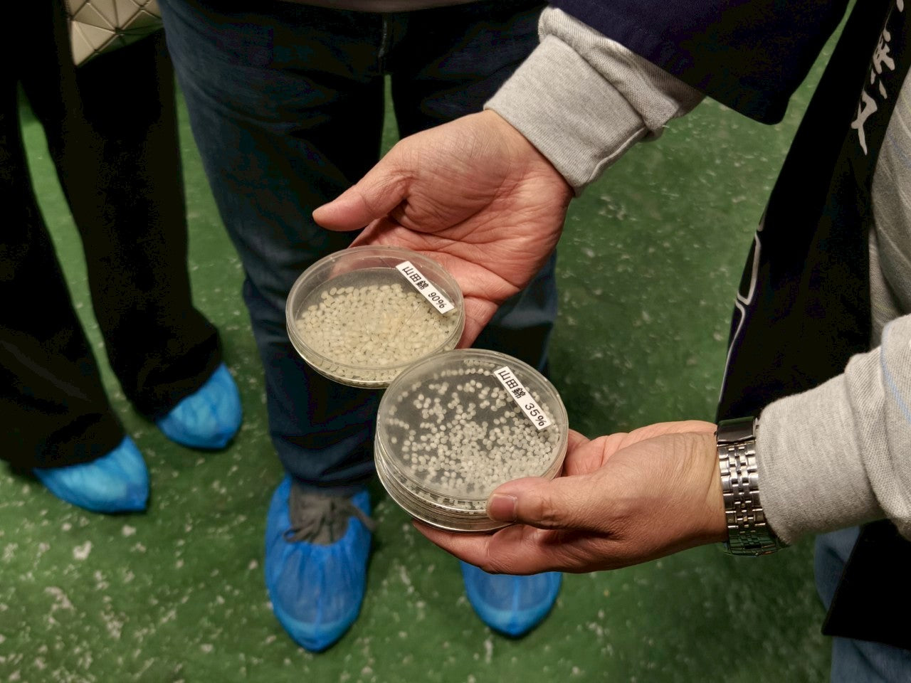 北海道清酒愛好者之旅|酒藏探訪 × 職人釀造 × 美食配酒五日行