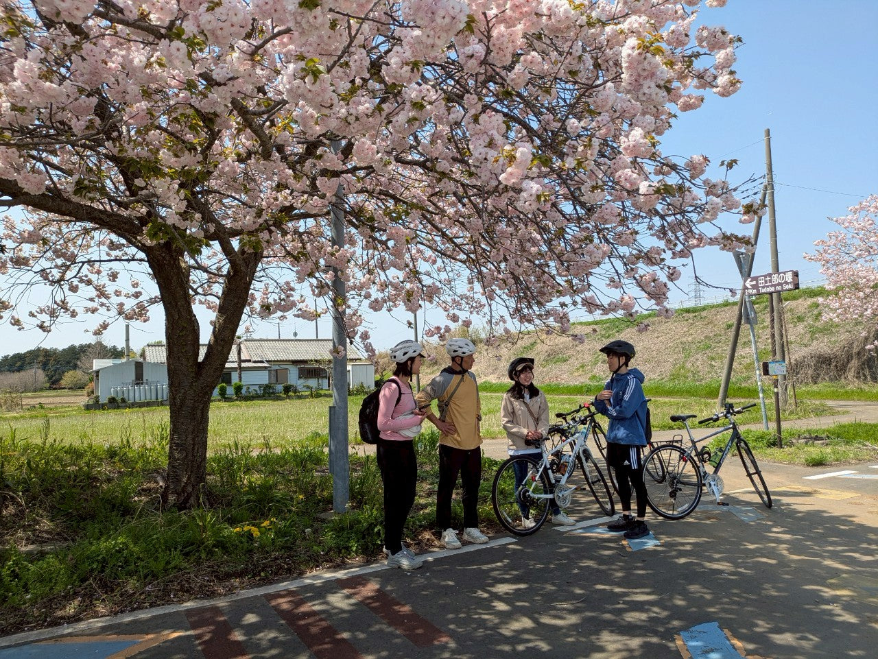 【茨城一日輕騎旅】騎上日本最美湖畔之路|霞浦湖一周行程