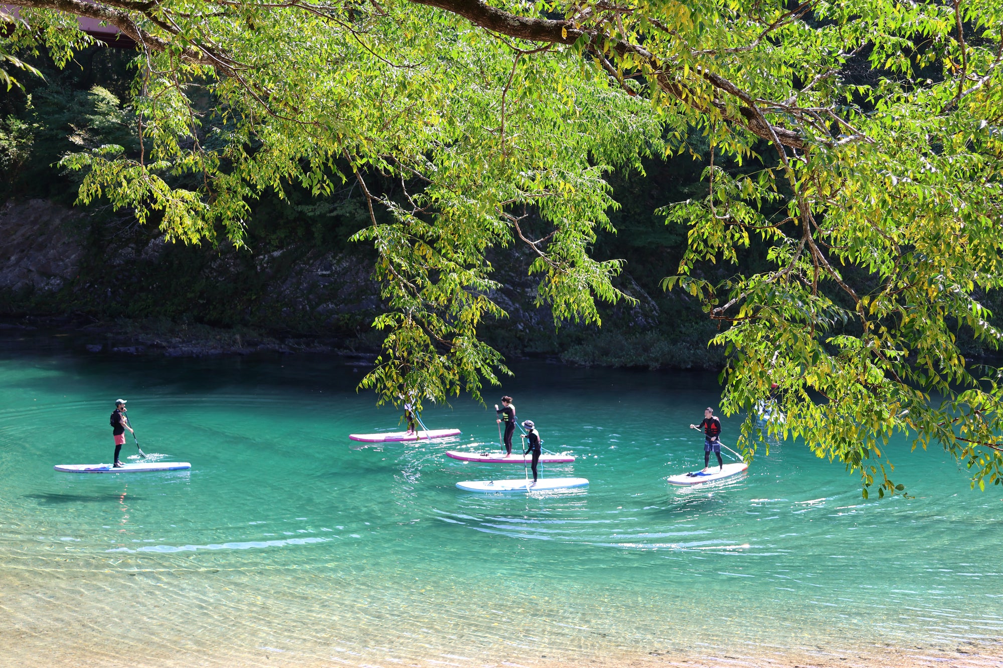 3天2夜|屋久島繩文杉|SUP清流立槳|含兩晚住宿|簡單英文導遊