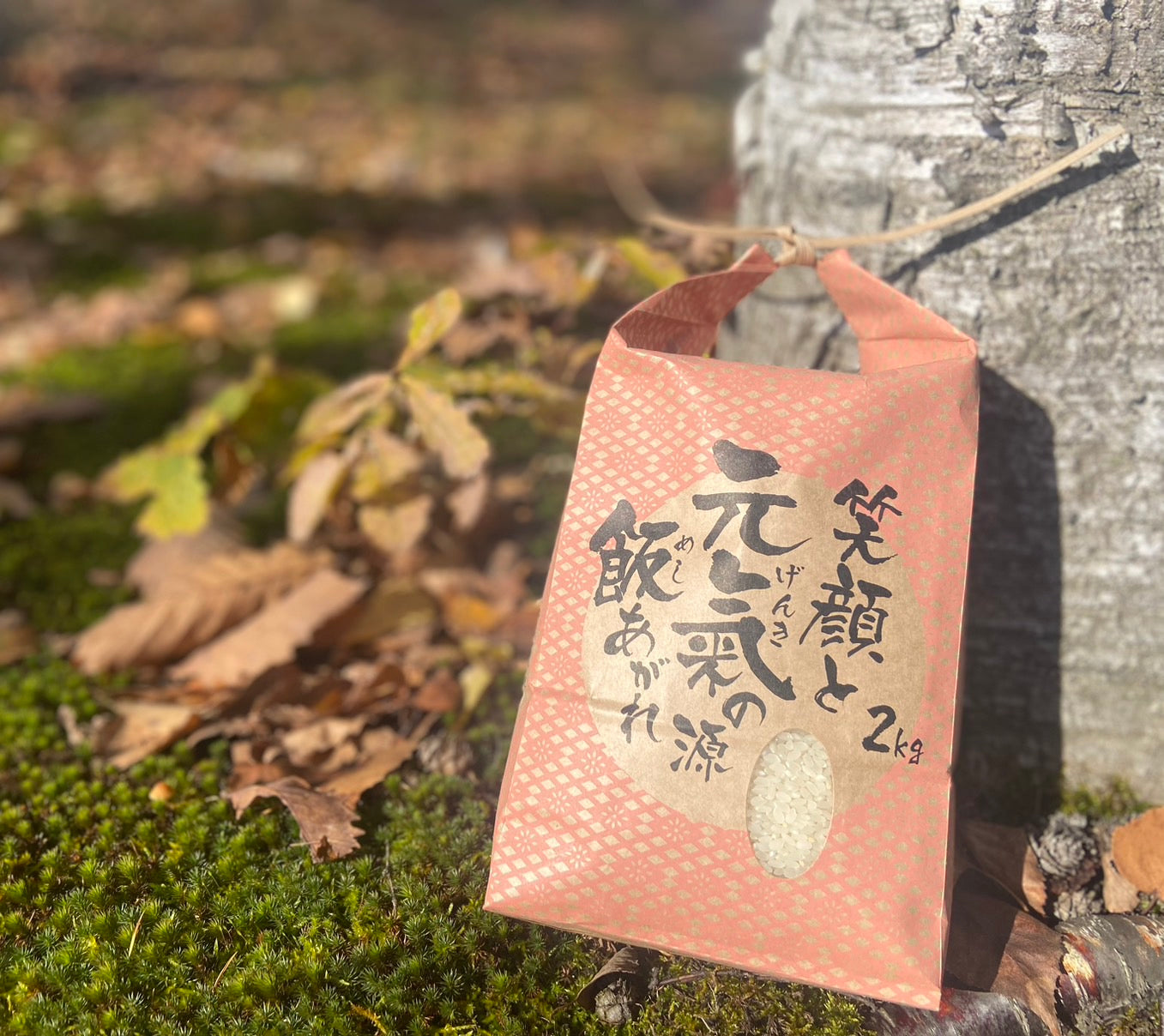 【北海道望野】不變的土地:農業歷史變革的田園漫遊 單堂文化體驗|鷹栖町|在地農家生活導覽|