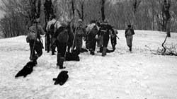 樹冰、又鬼獵人、生剝鬼祭典:秋田冬季傳說 3D2N (2027卡位團)