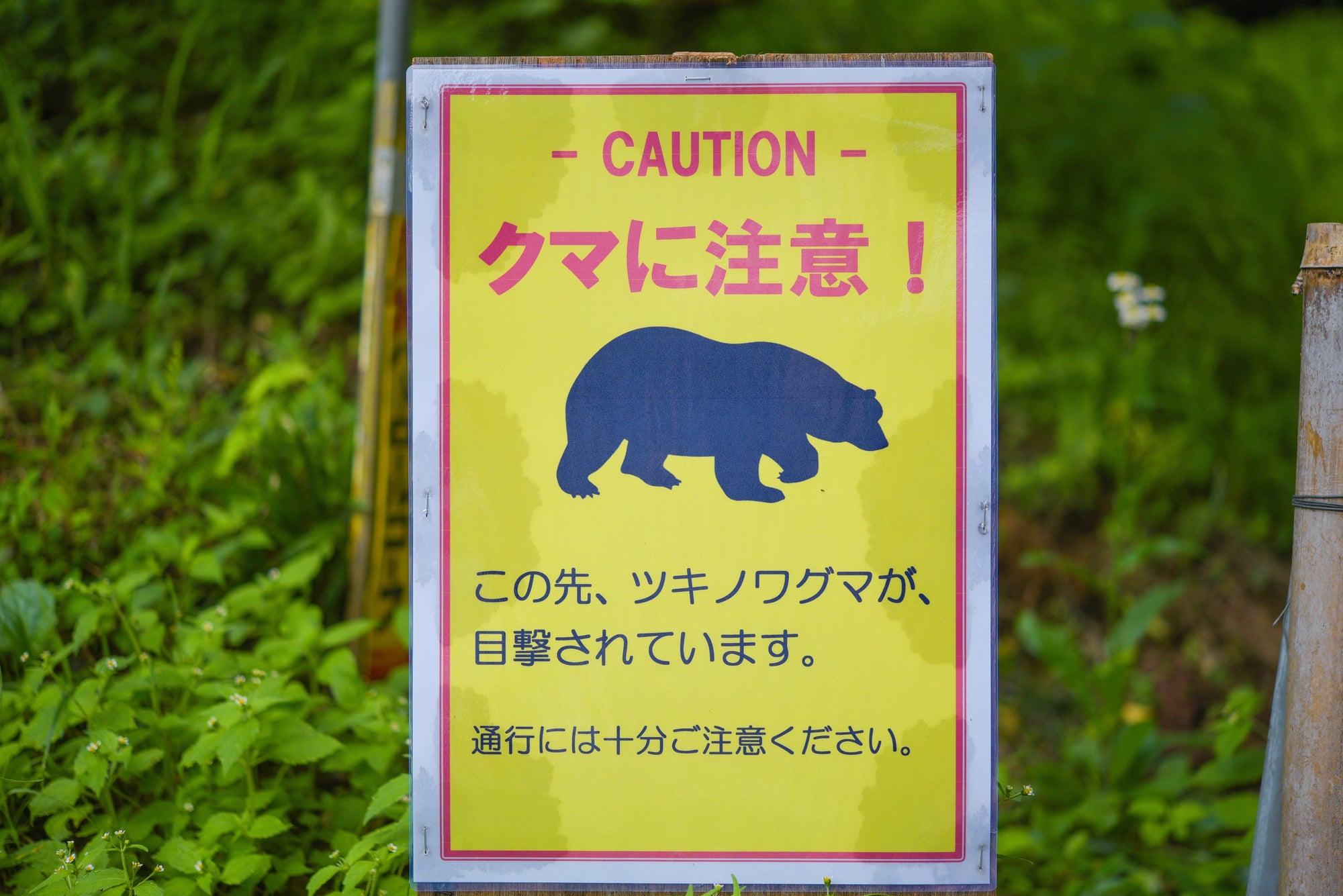 秋田里山獵人文化兩天一夜|熊之道 × 山村文化 × 傳統生活體驗