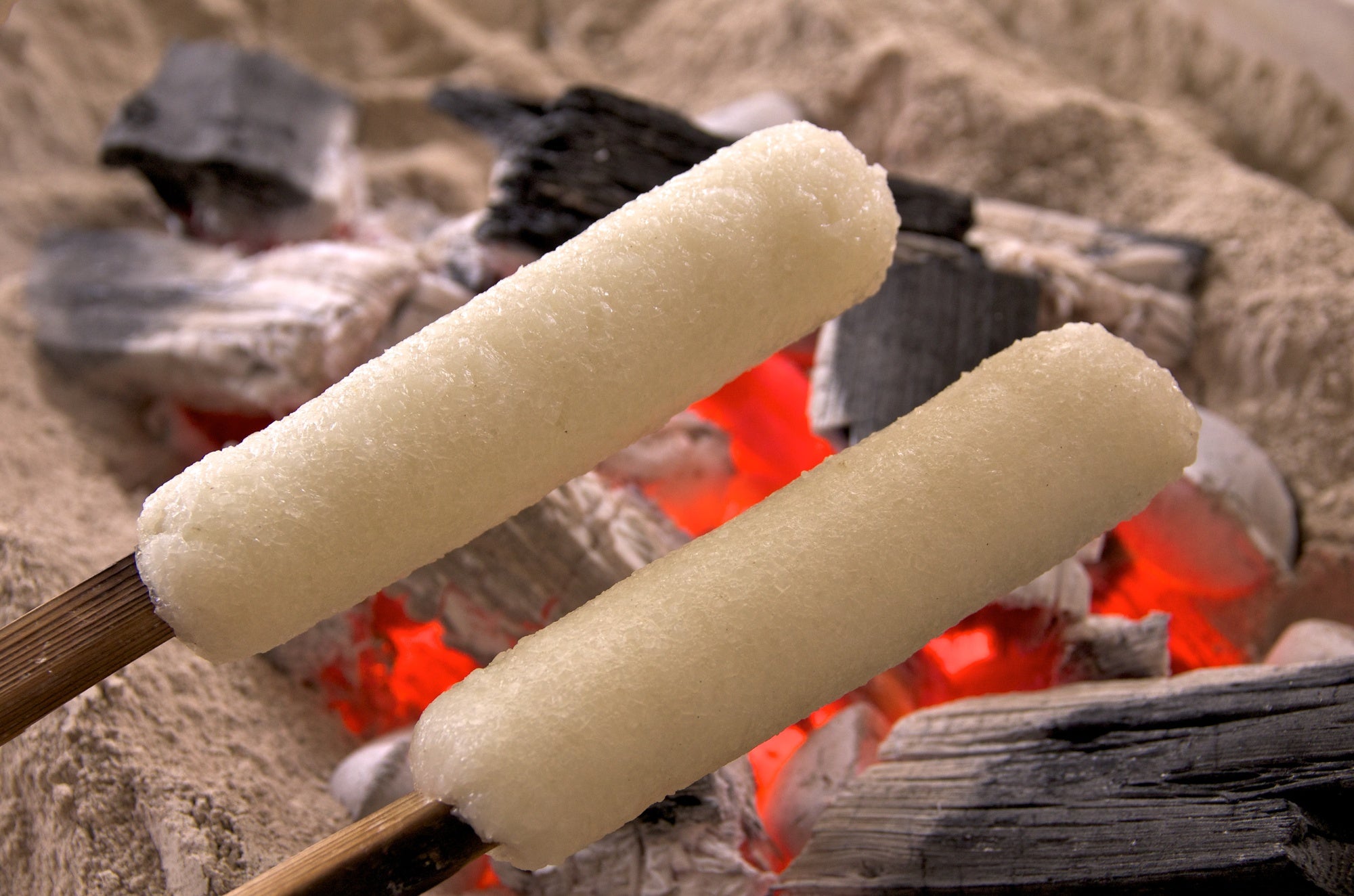 <秋田2泊3日>新幹線之旅!與秋田犬親密接觸,在鄉間悠閒地享受大自然。