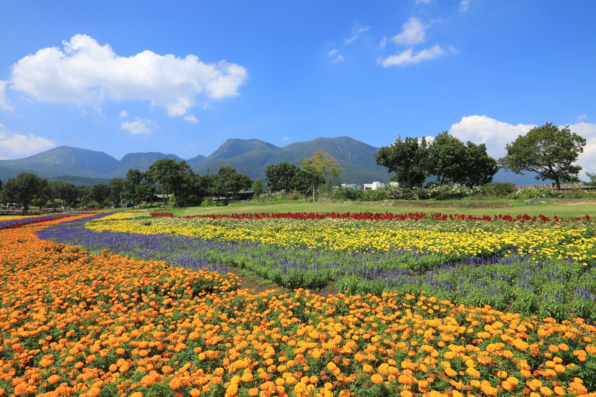 九重山登山之旅|2天1夜|健行體驗四季美麗的「九州屋脊」! 觀賞雲海的好機會! ? 入住九重高原酒店,享用美味的當地美食