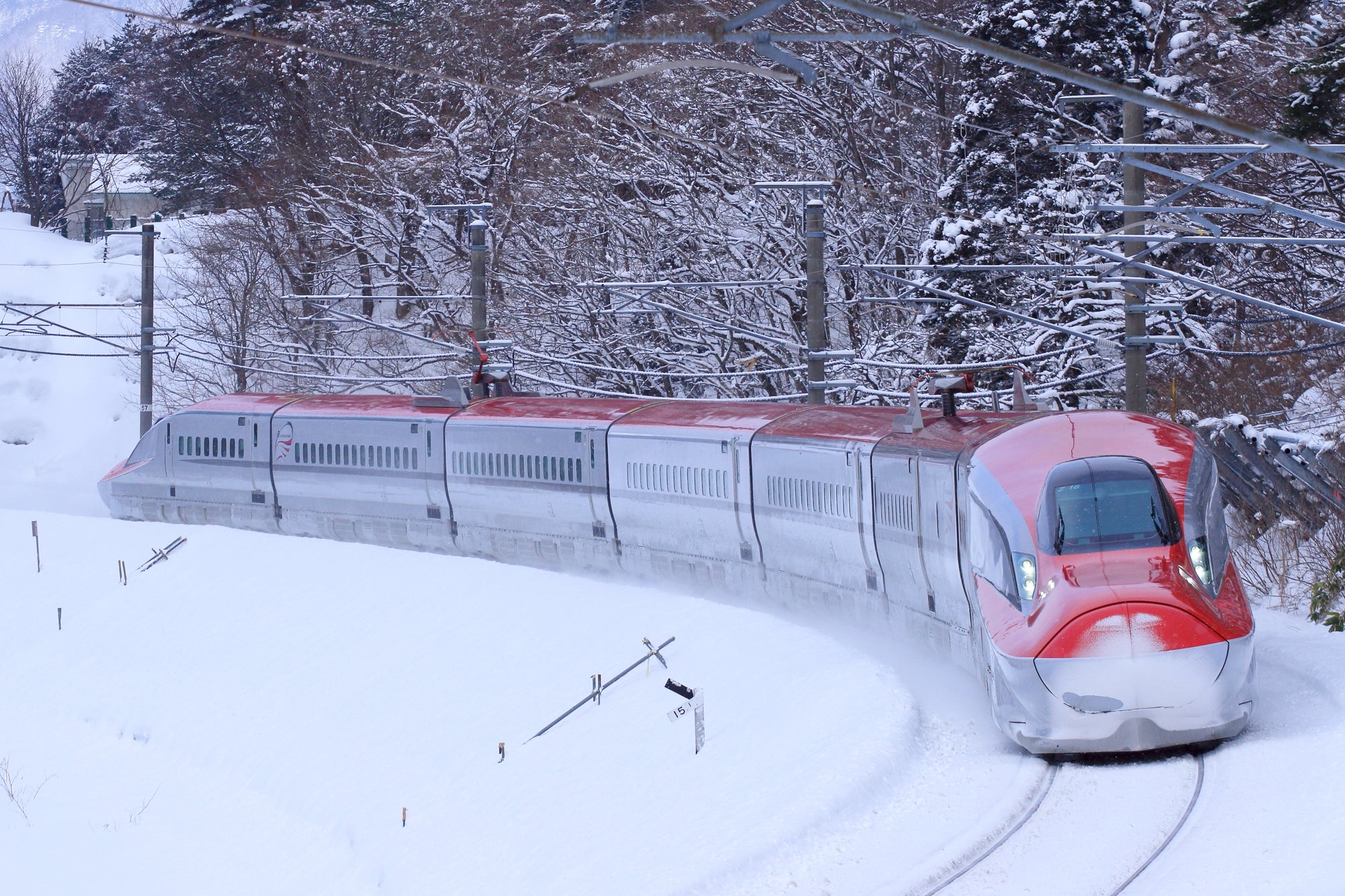 <秋田2泊3日>新幹線之旅!與秋田犬親密接觸,在鄉間悠閒地享受大自然。