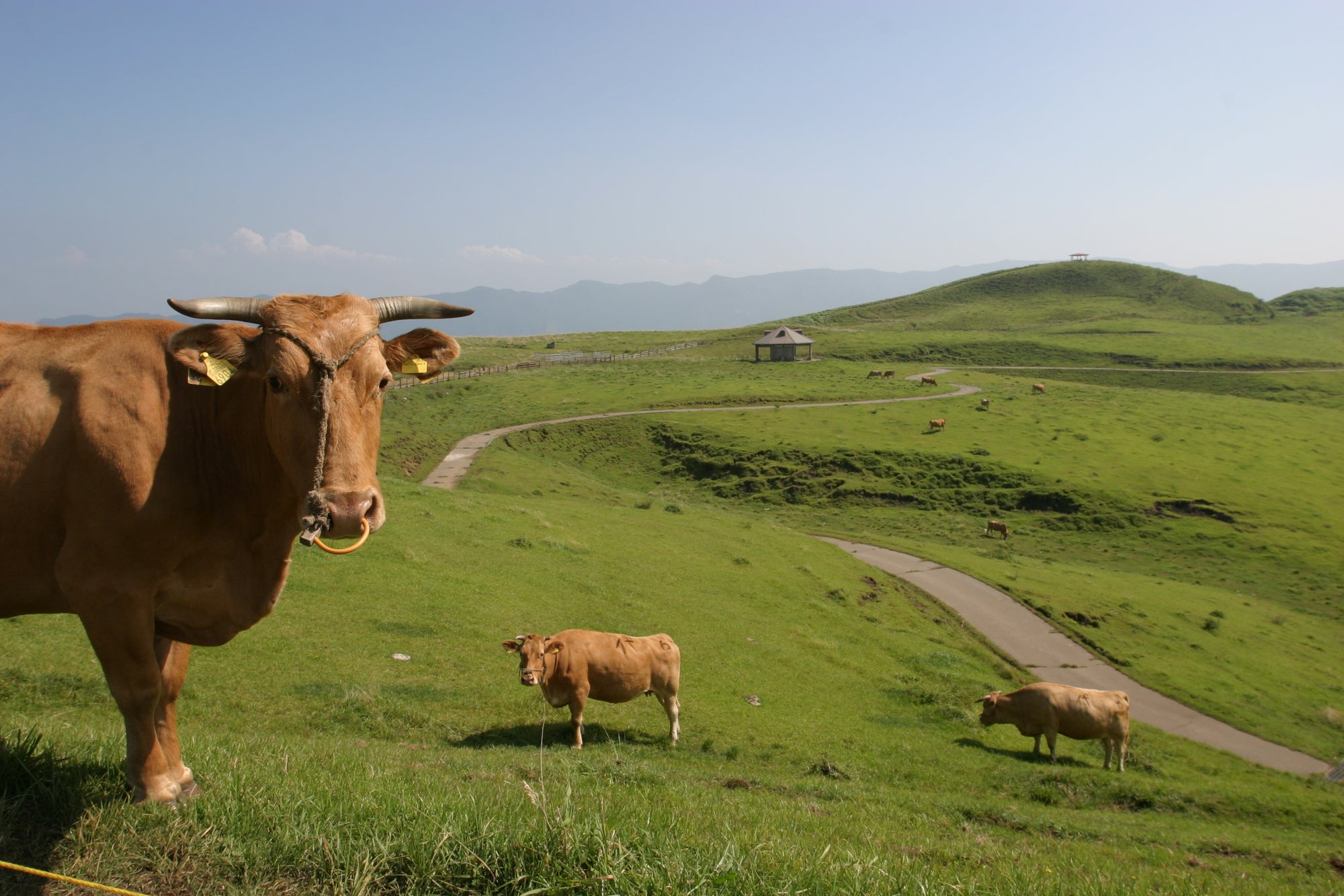 阿蘇騎行|黑川、内牧温泉3天2夜|阿蘇的鄉村道路,牧野自行車,探索熔岩隧道,感受阿蘇的起源!