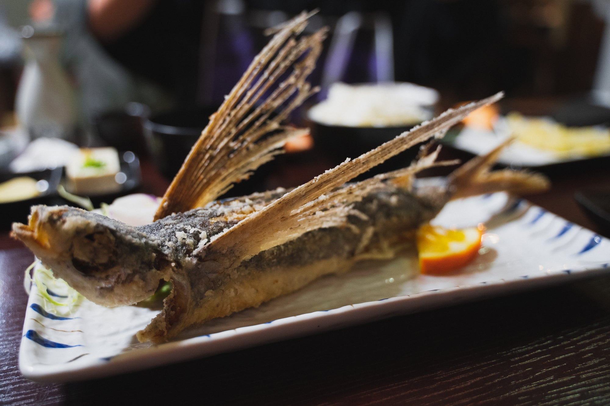 【鹿兒島微醺】苔原林地與遠方的潮聲:橫越山海的靈魂秘境 |三天兩夜山海之旅|鹿兒島縣屋久島|島嶼的小酌時光