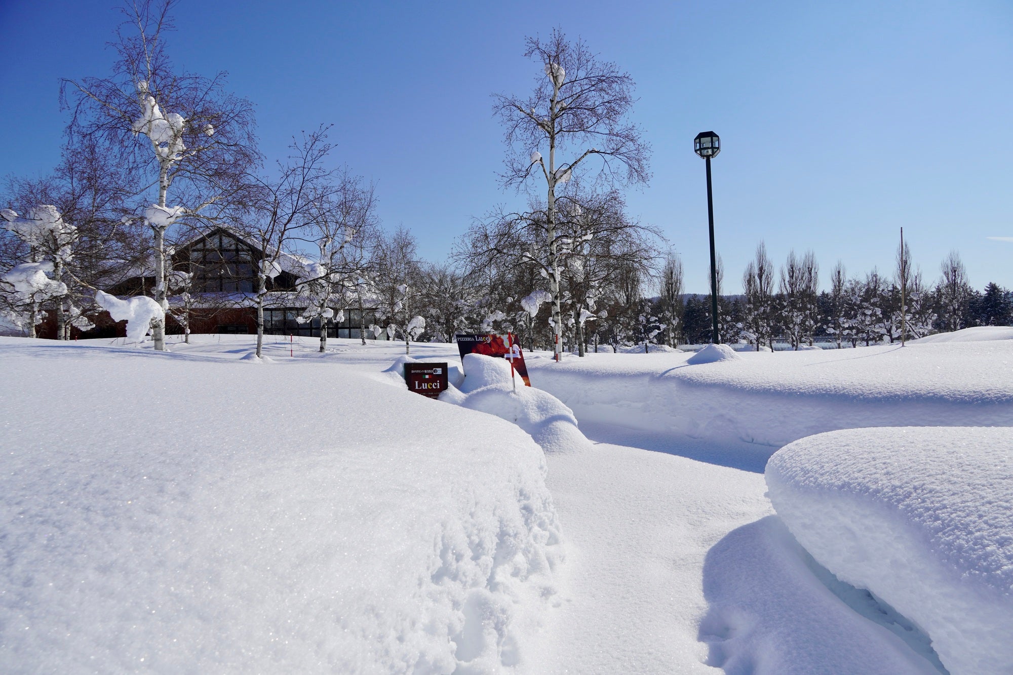 札幌出發| 當天來回|北海道當地獵人的狩獵體驗體驗