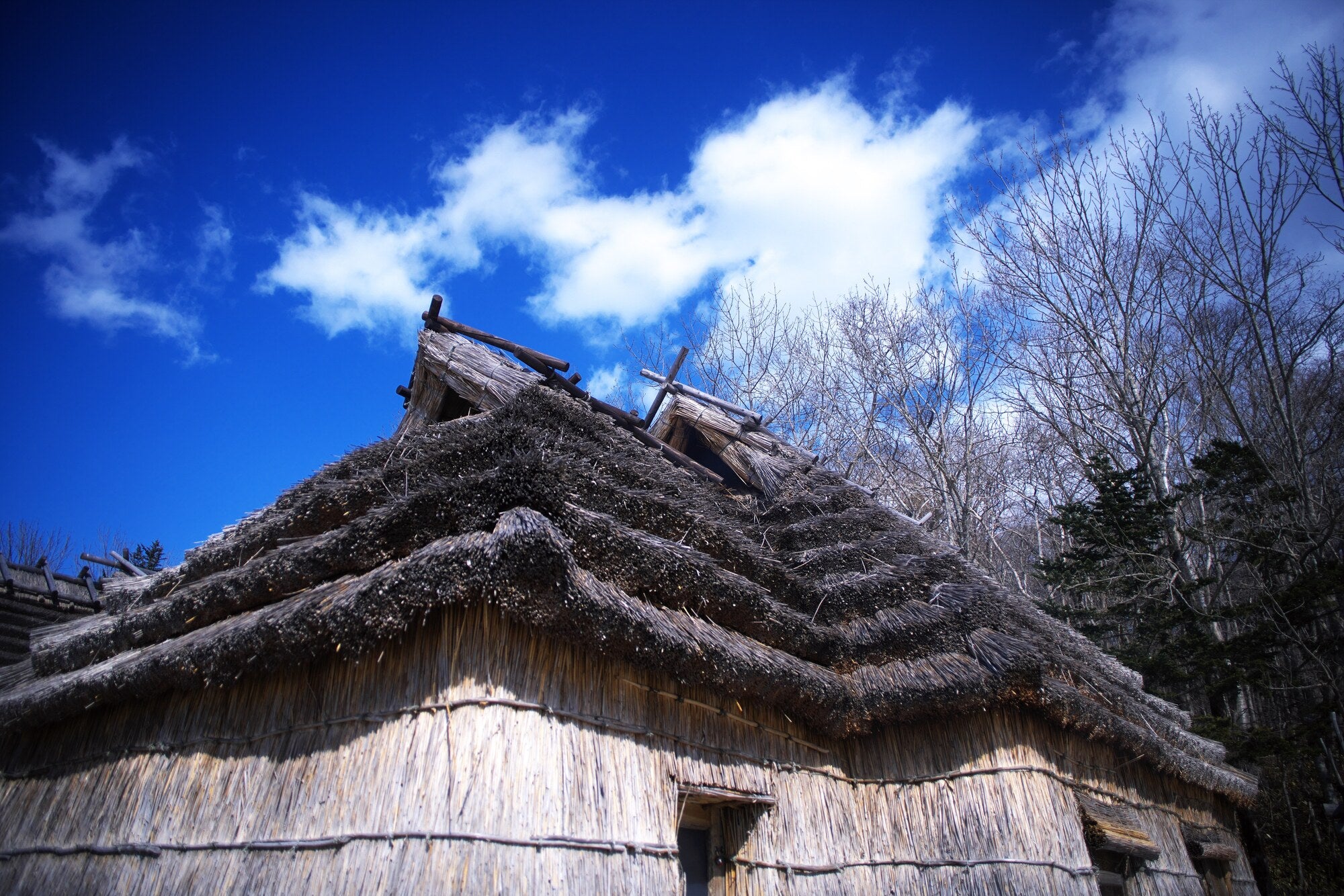 已截止【2023冬季.北海道人文旅行】