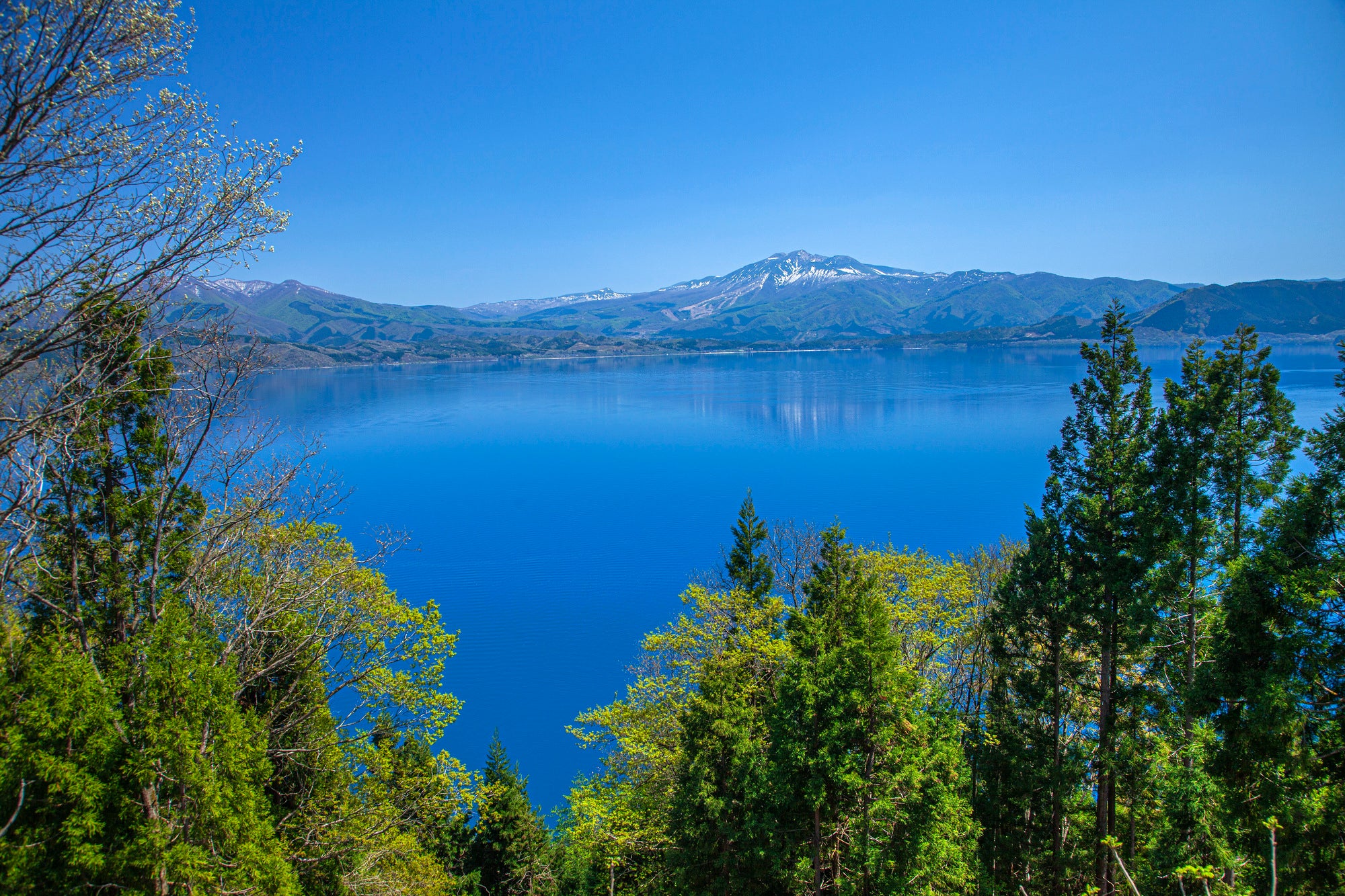 <秋田2泊3日>新幹線之旅!與秋田犬親密接觸,在鄉間悠閒地享受大自然。