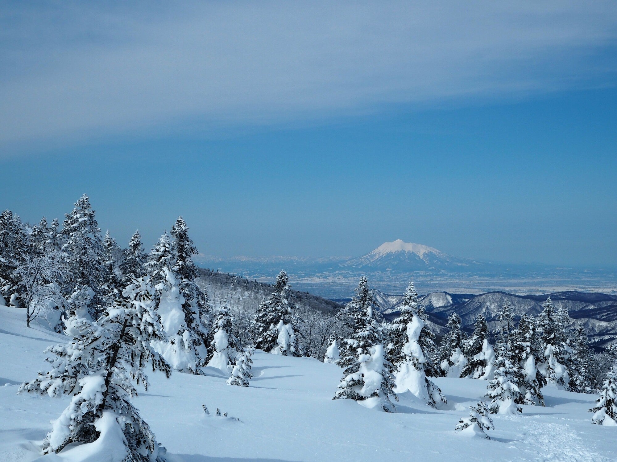2天1夜 |白神山|世界遺產下體驗雪鞋健行體驗|附咖啡和烤棉花糖體驗+1晚住宿