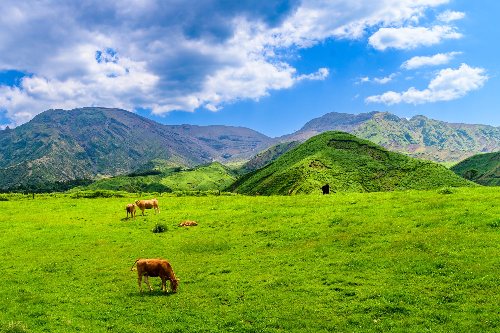阿蘇騎行|黑川、内牧温泉3天2夜|阿蘇的鄉村道路,牧野自行車,探索熔岩隧道,感受阿蘇的起源!