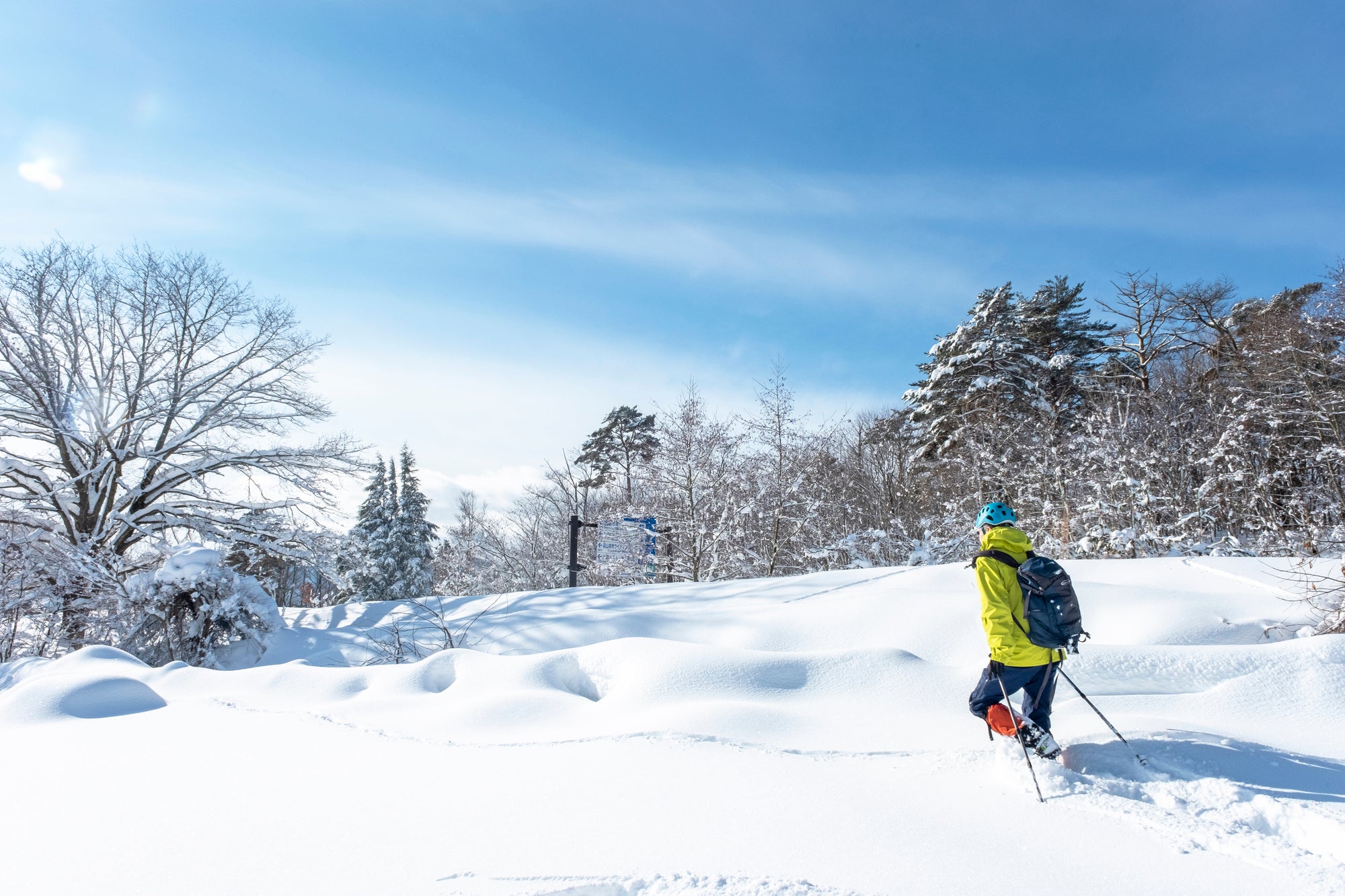 2天1夜 |白神山|世界遺產下體驗雪鞋健行體驗|附咖啡和烤棉花糖體驗+1晚住宿